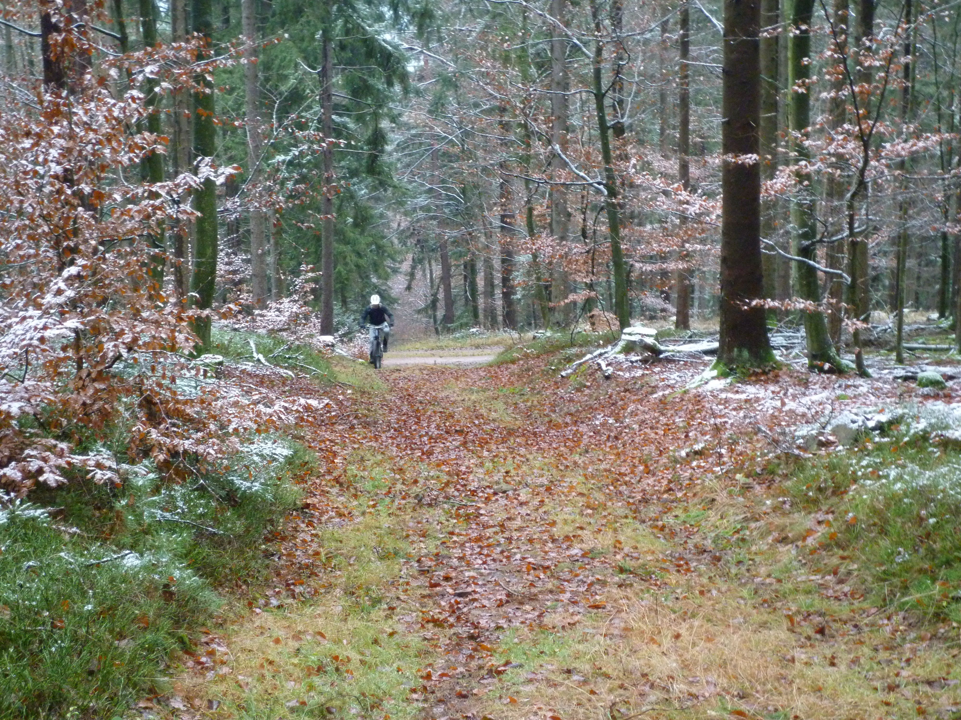 P1020839.JPG