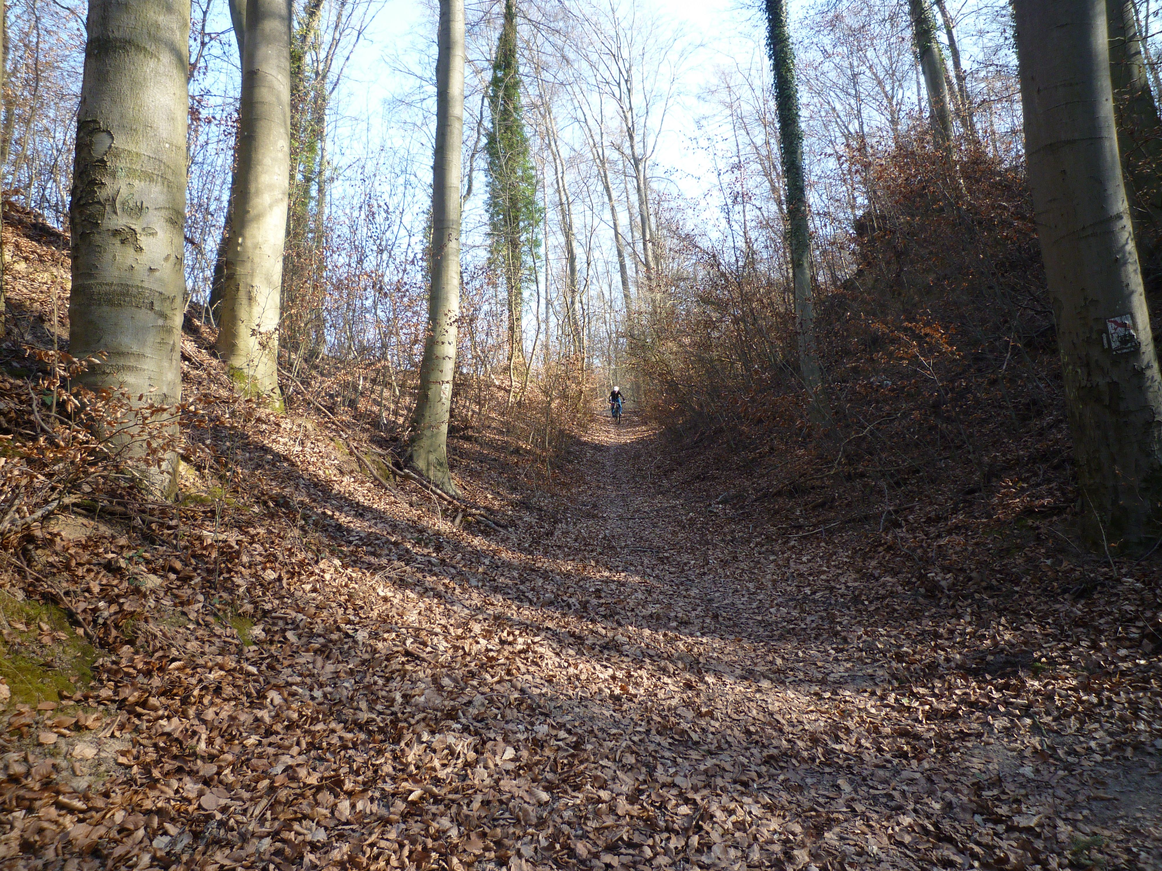 P1020918.JPG