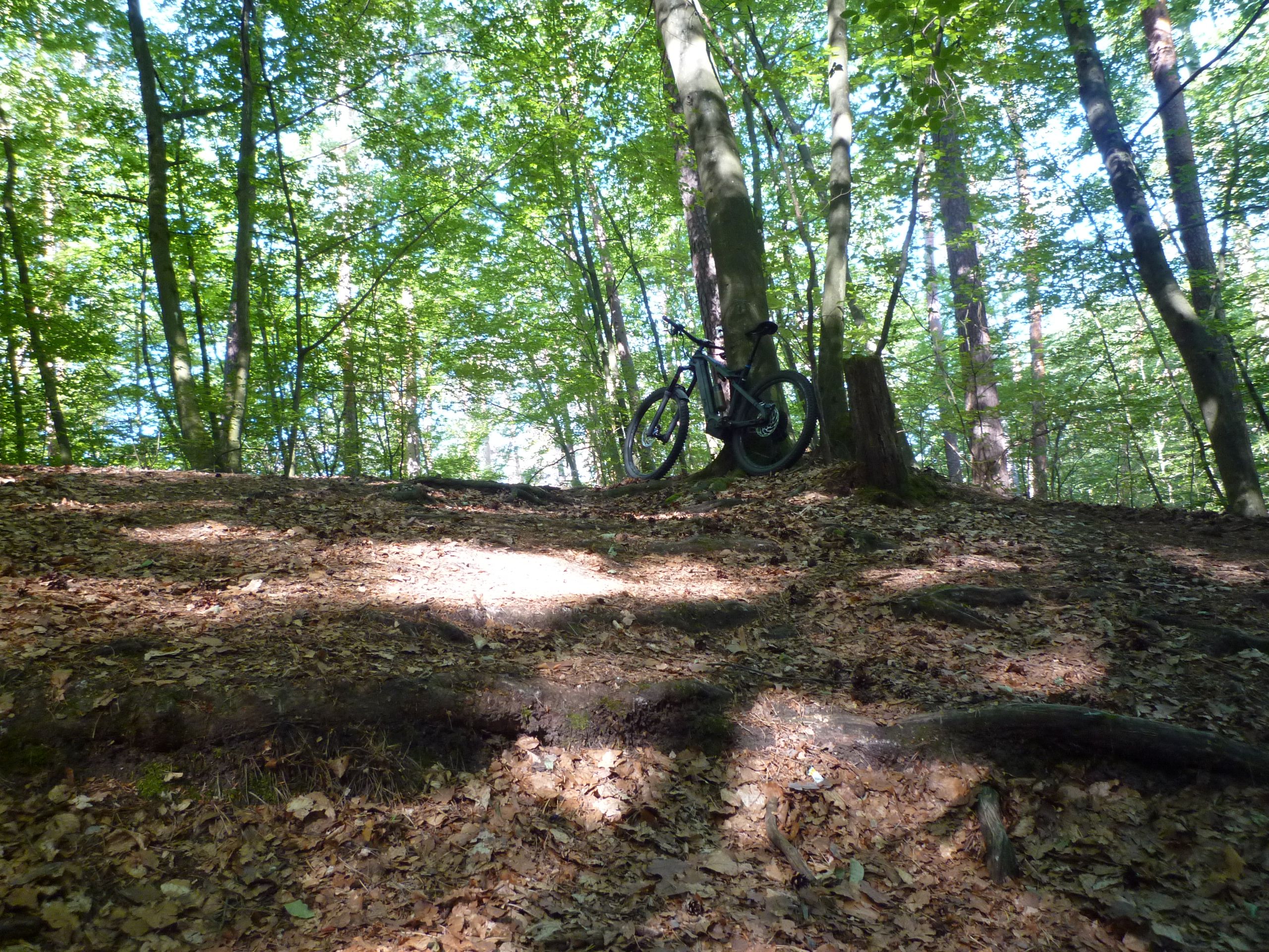 P1030407.JPG