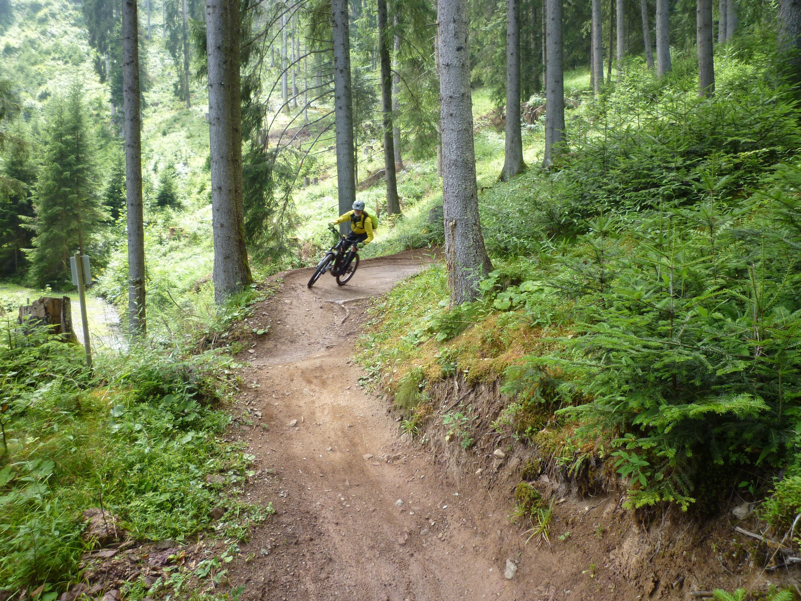 P1030454.JPG