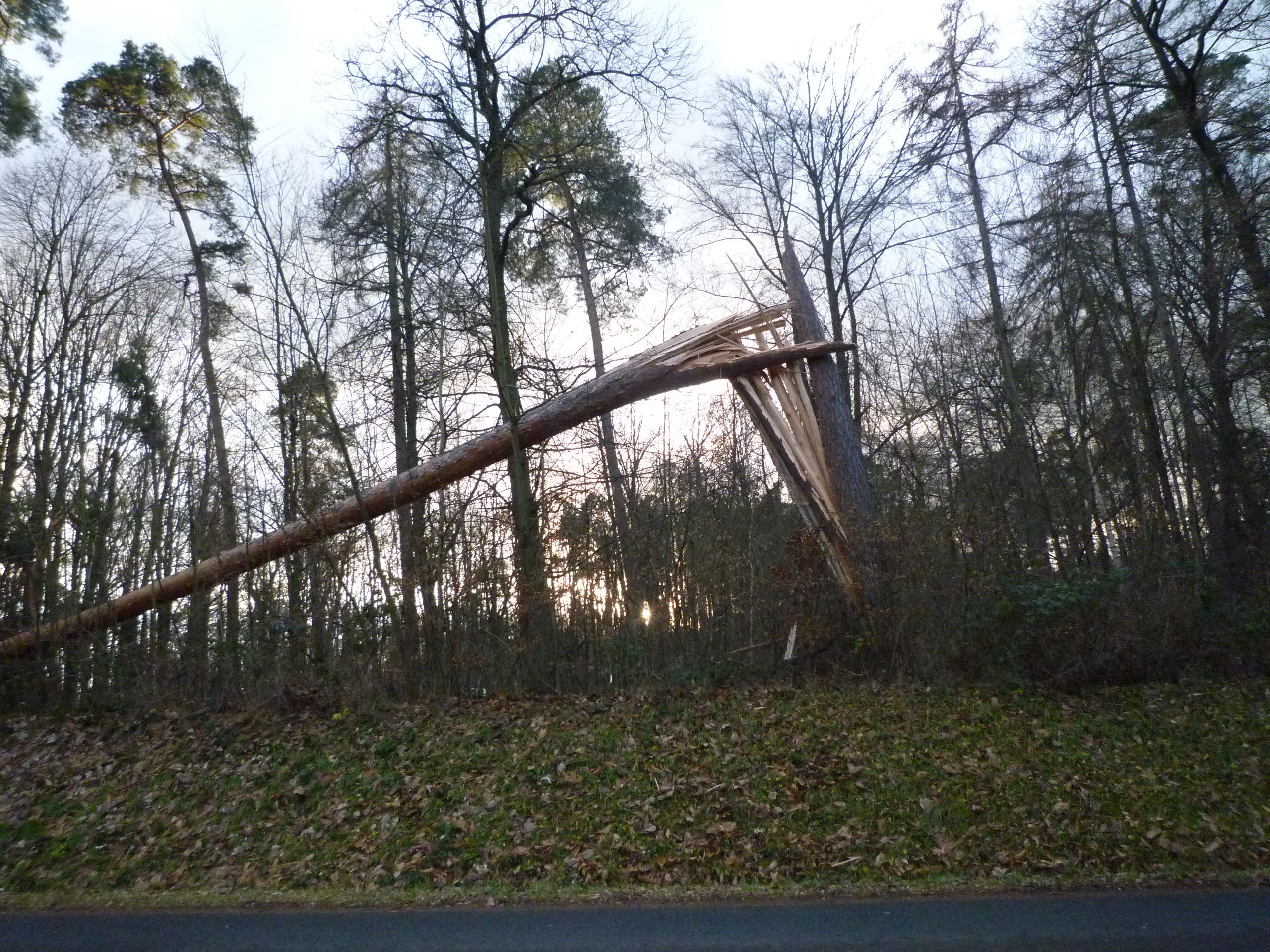 P1030516.JPG