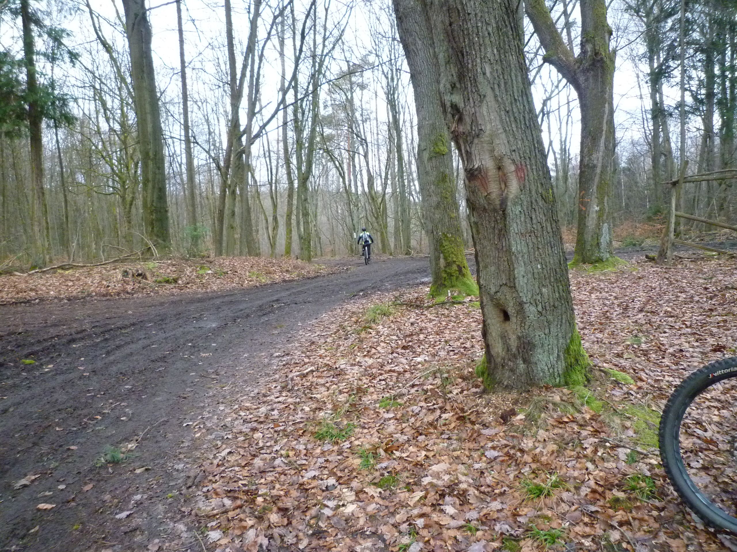 P1030521.JPG