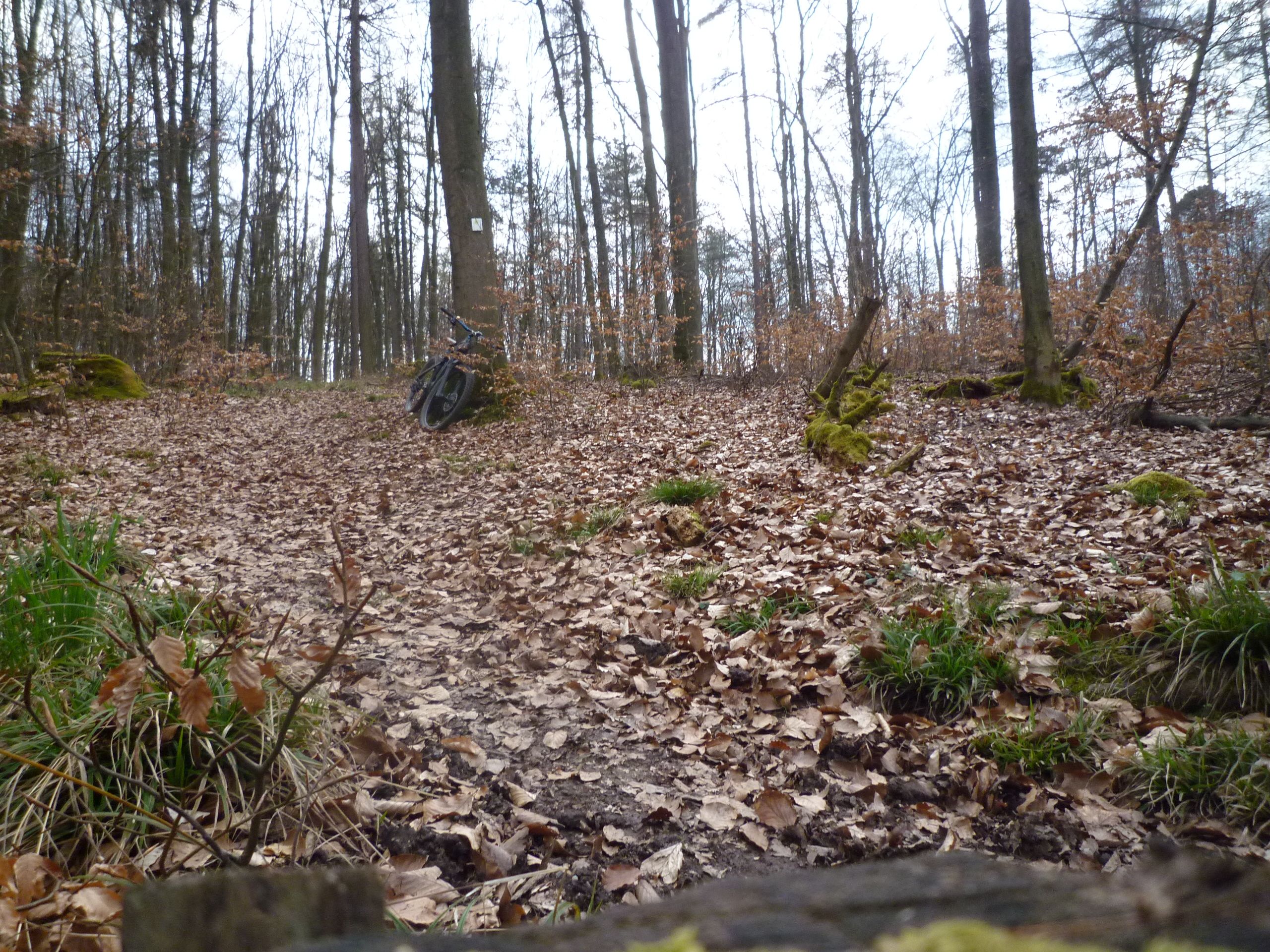P1030546.JPG