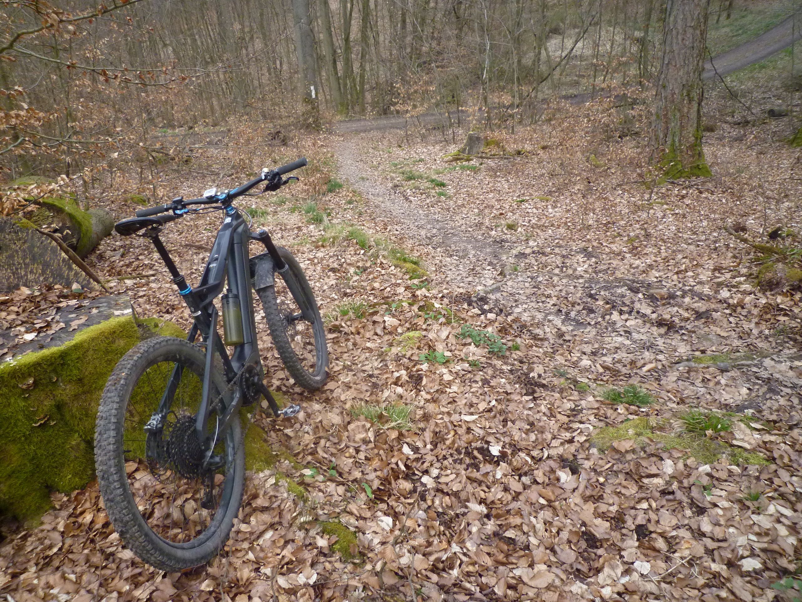 P1030548.JPG
