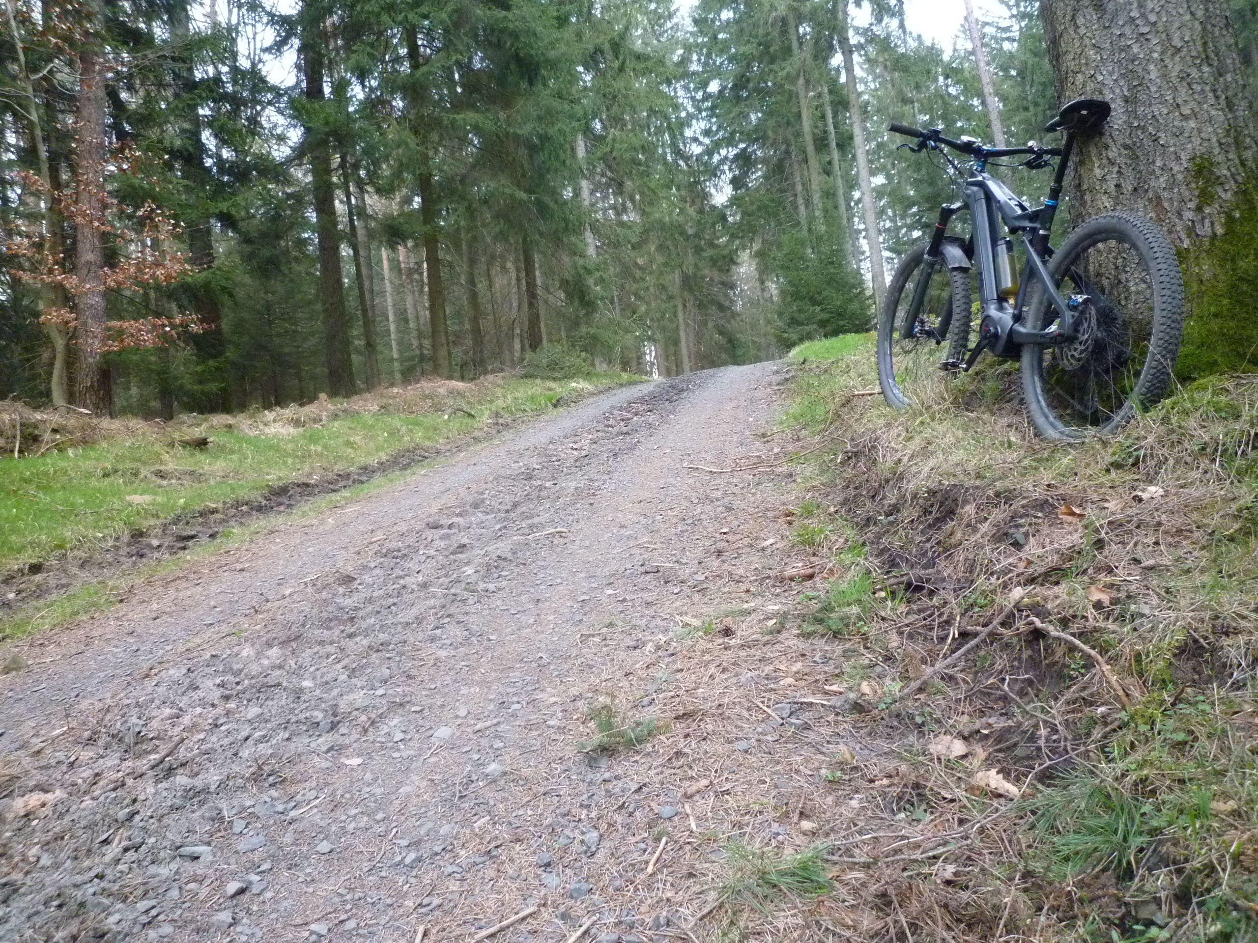 P1030551.JPG