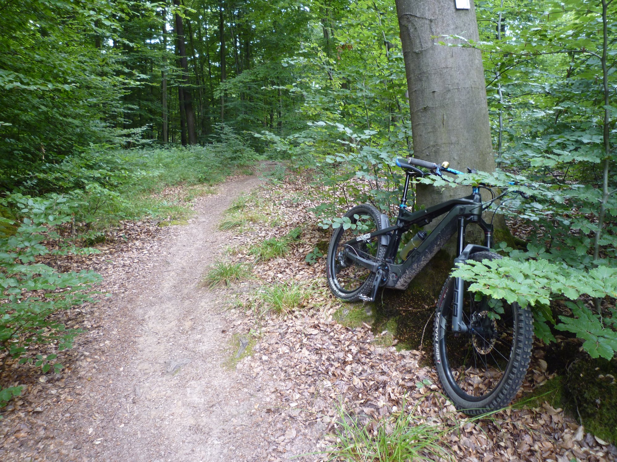 P1030643.JPG