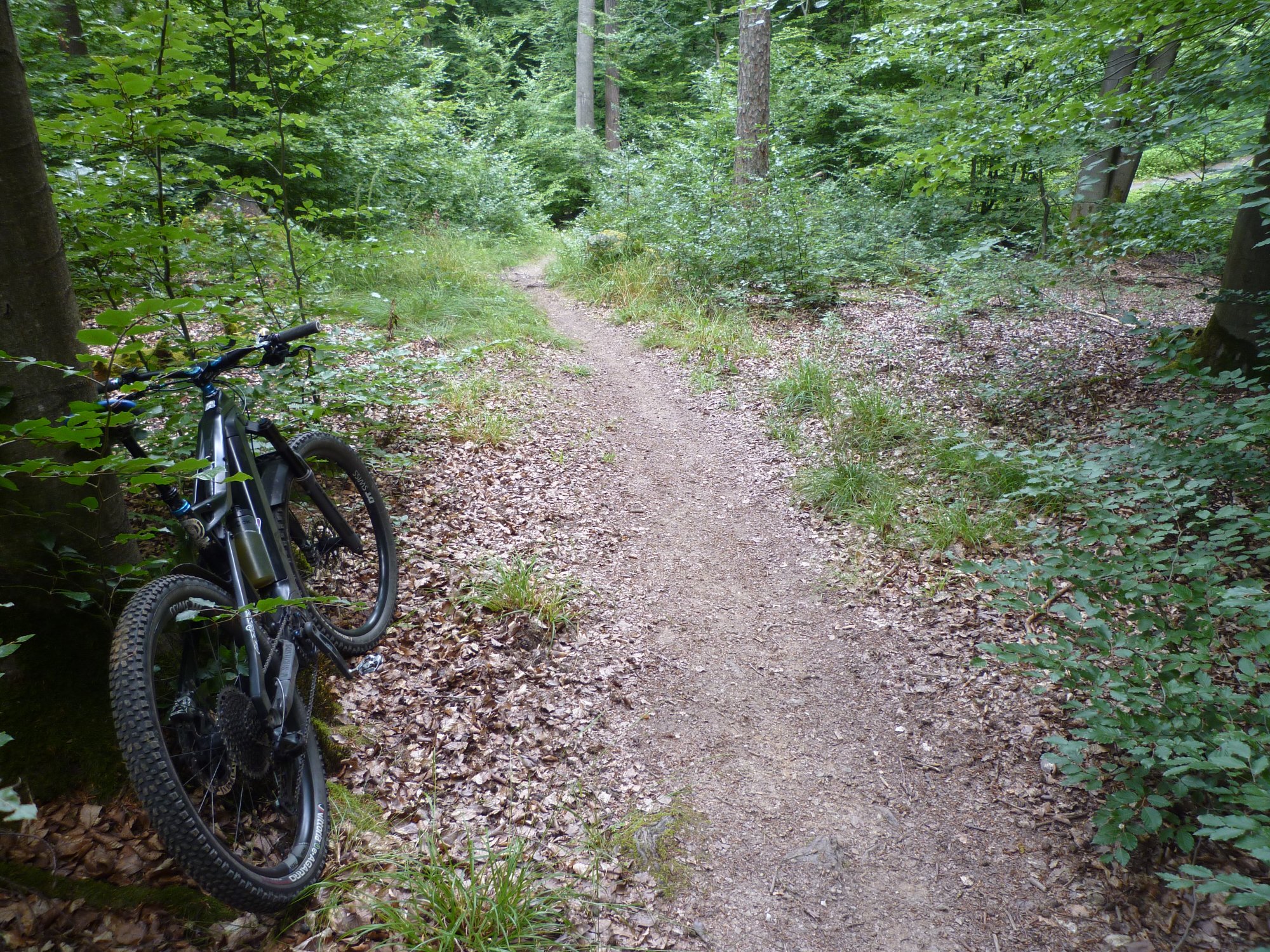 P1030644.JPG