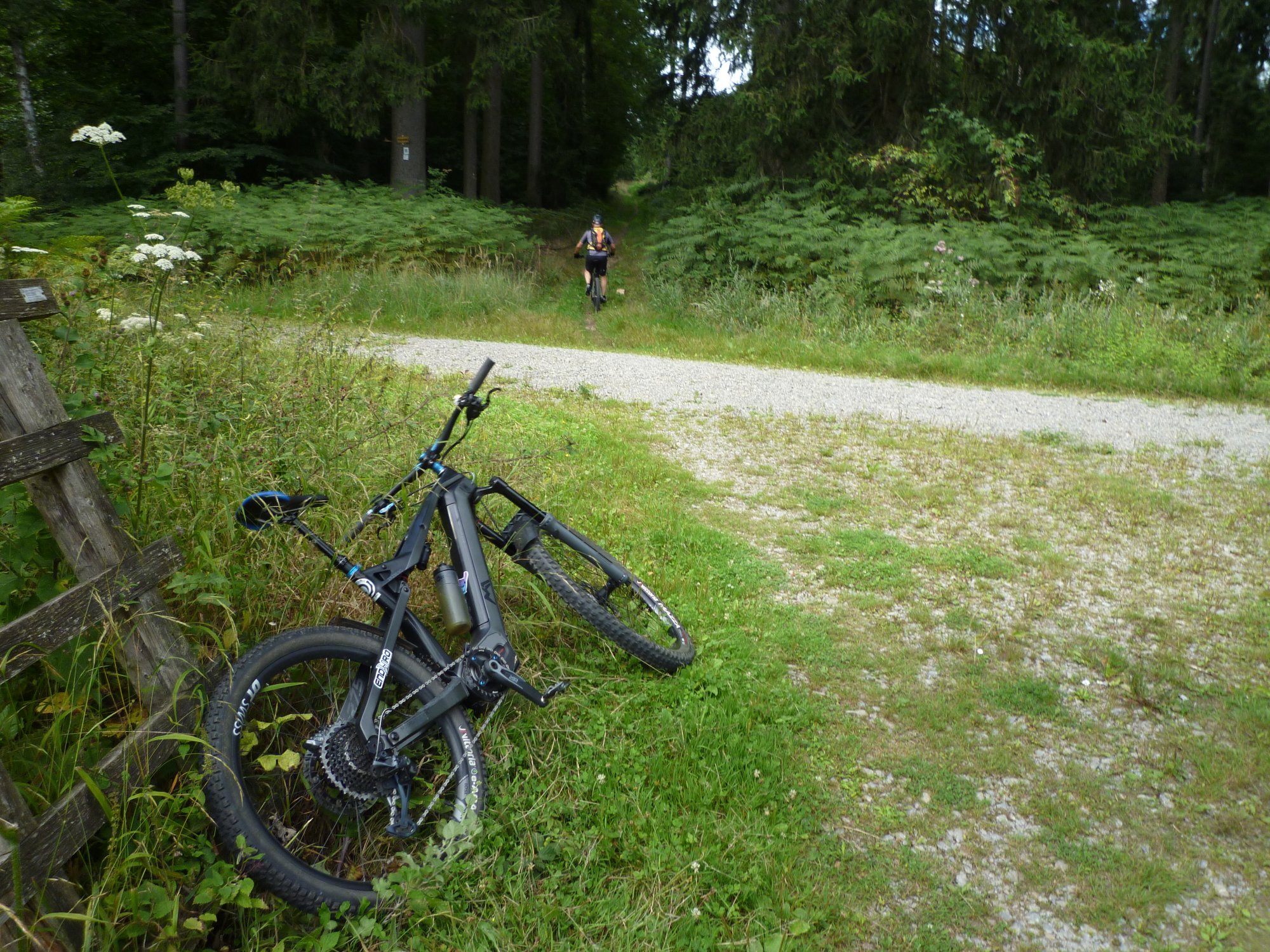 P1030661.JPG