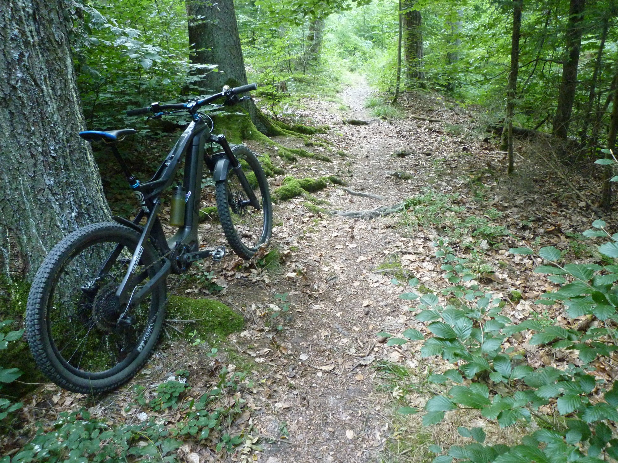 P1040006.JPG