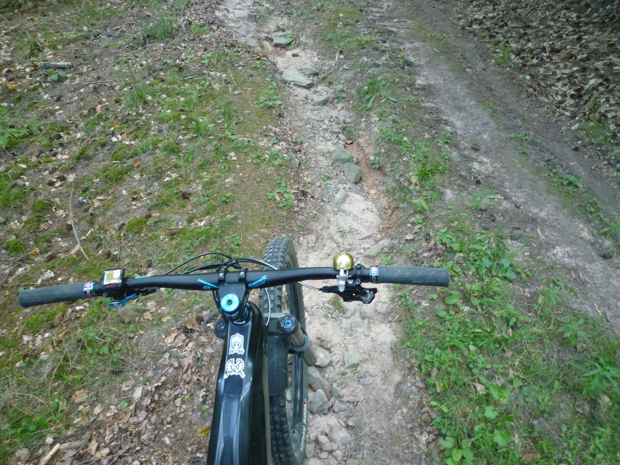 P1040007.JPG