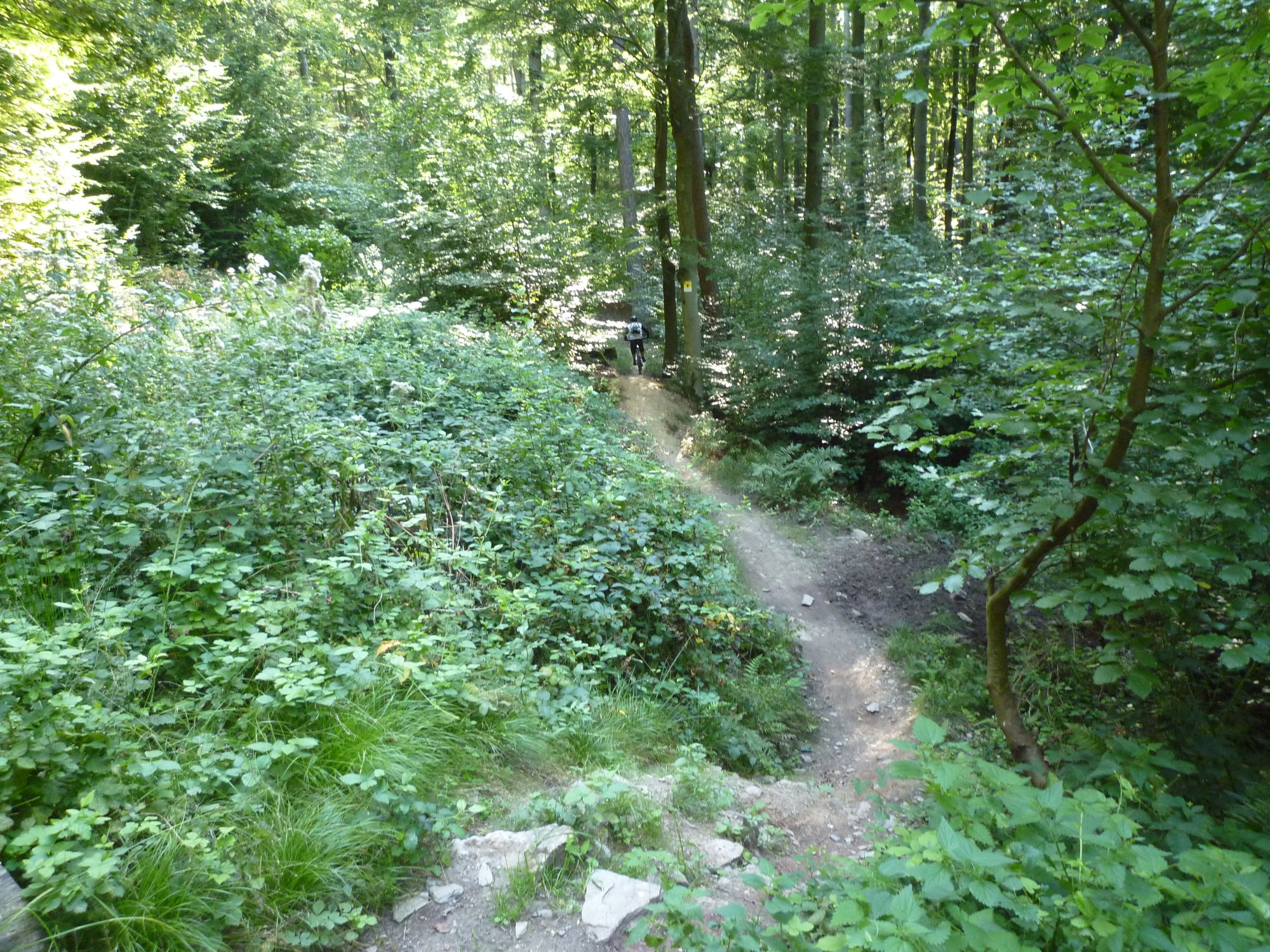 P1040026.JPG