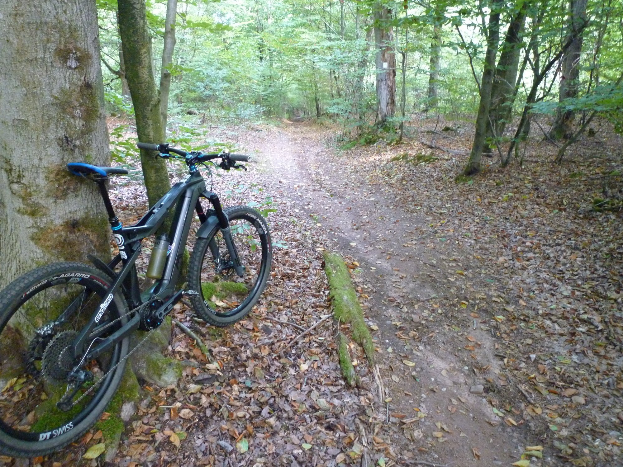 P1040036.JPG
