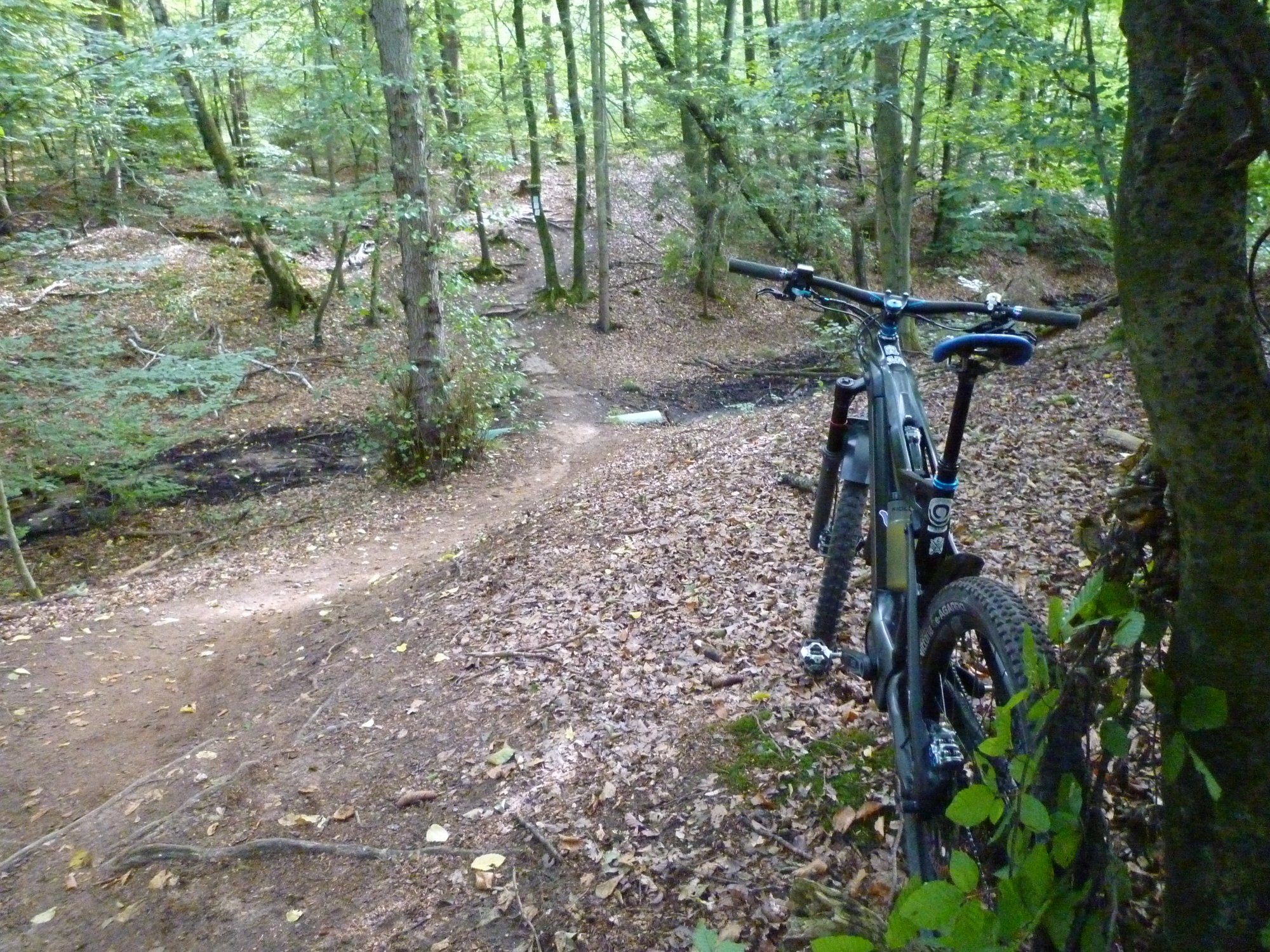 P1040038.JPG