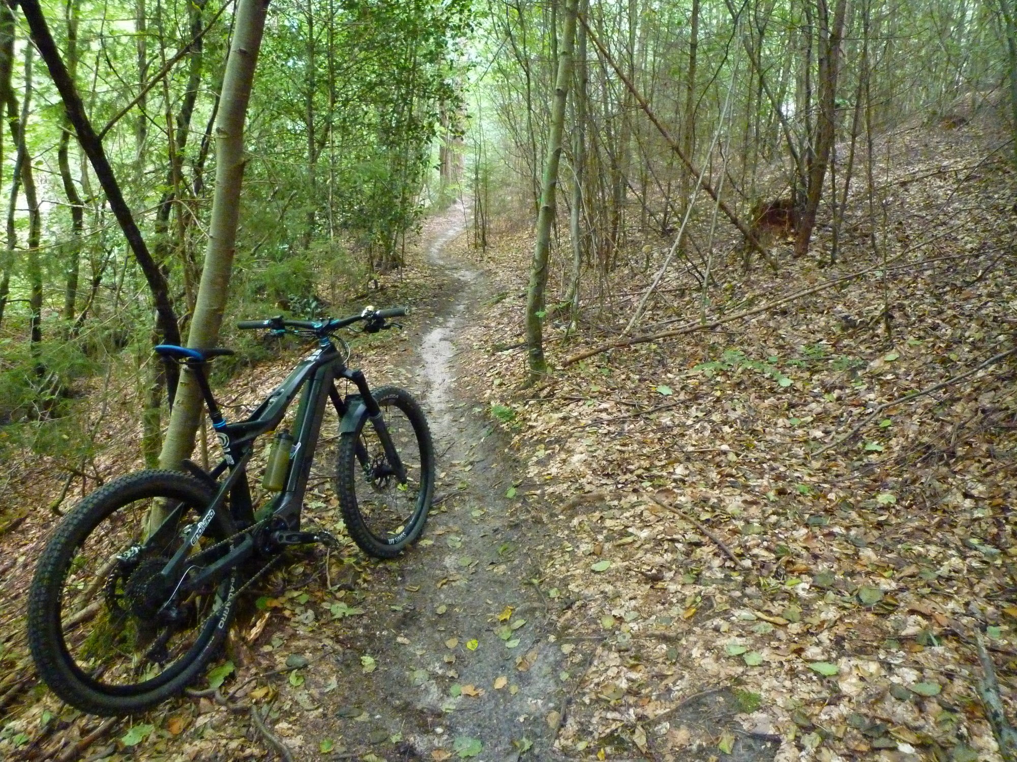 P1040039.JPG