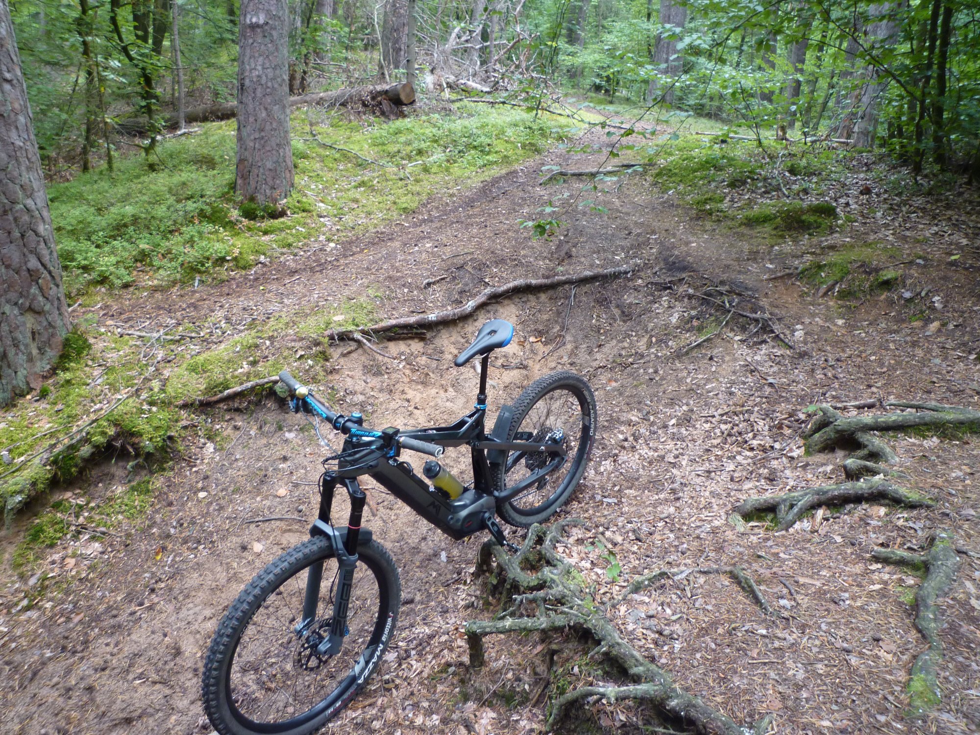 P1040040.JPG