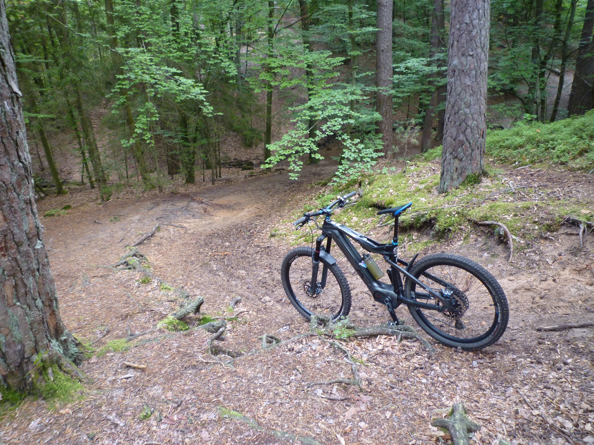 P1040041.JPG