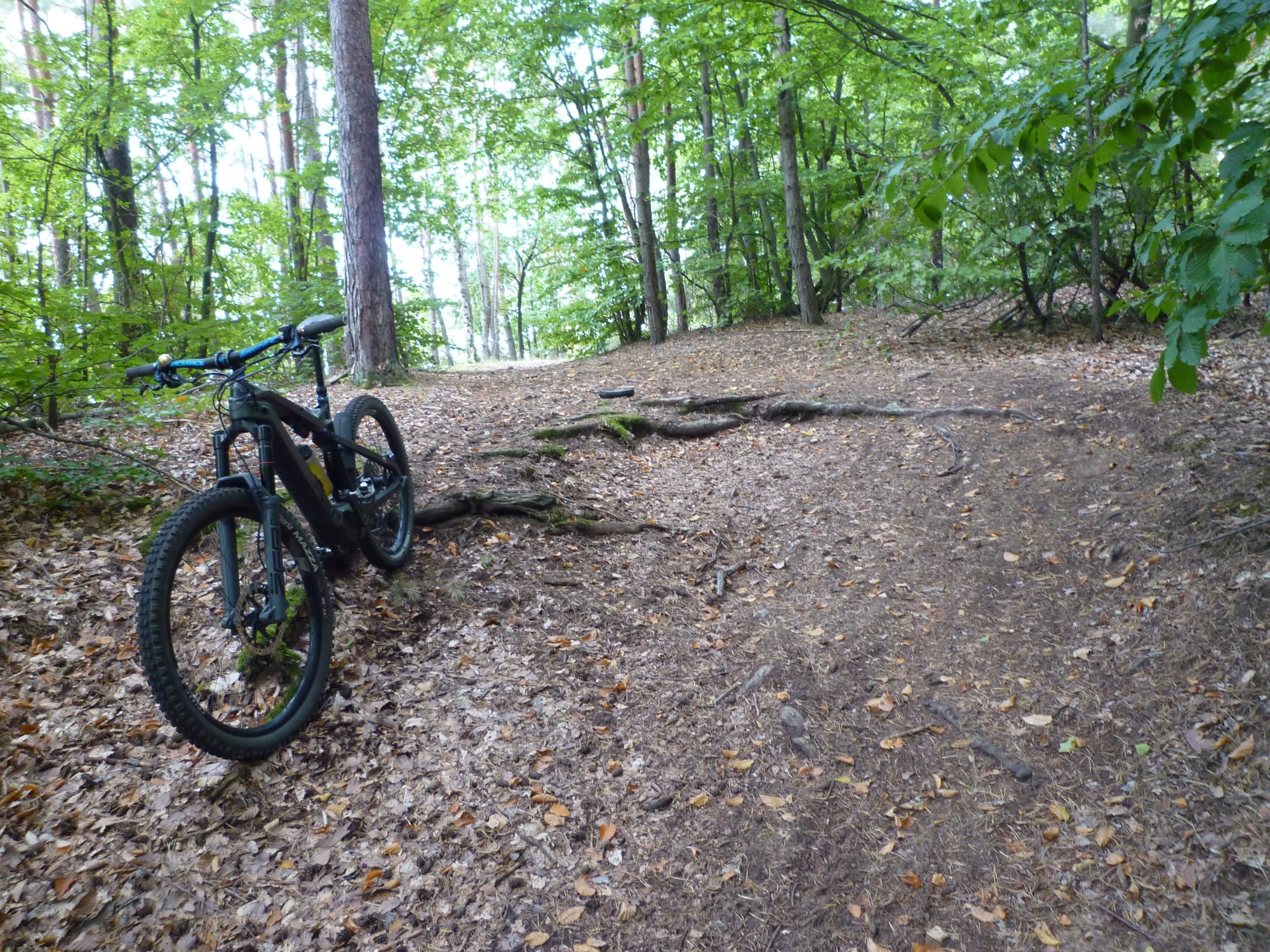 P1040042.JPG