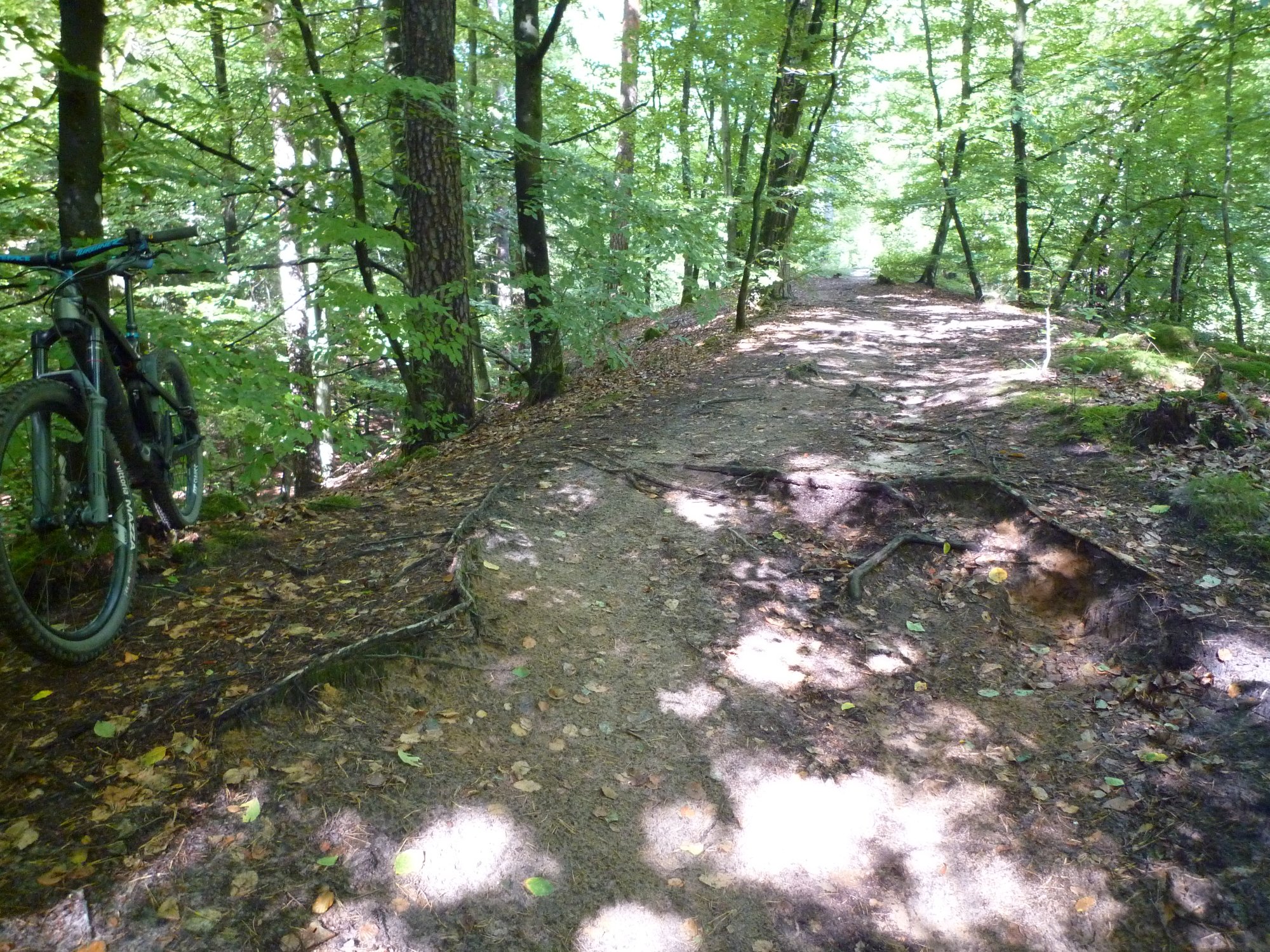 P1040059.JPG