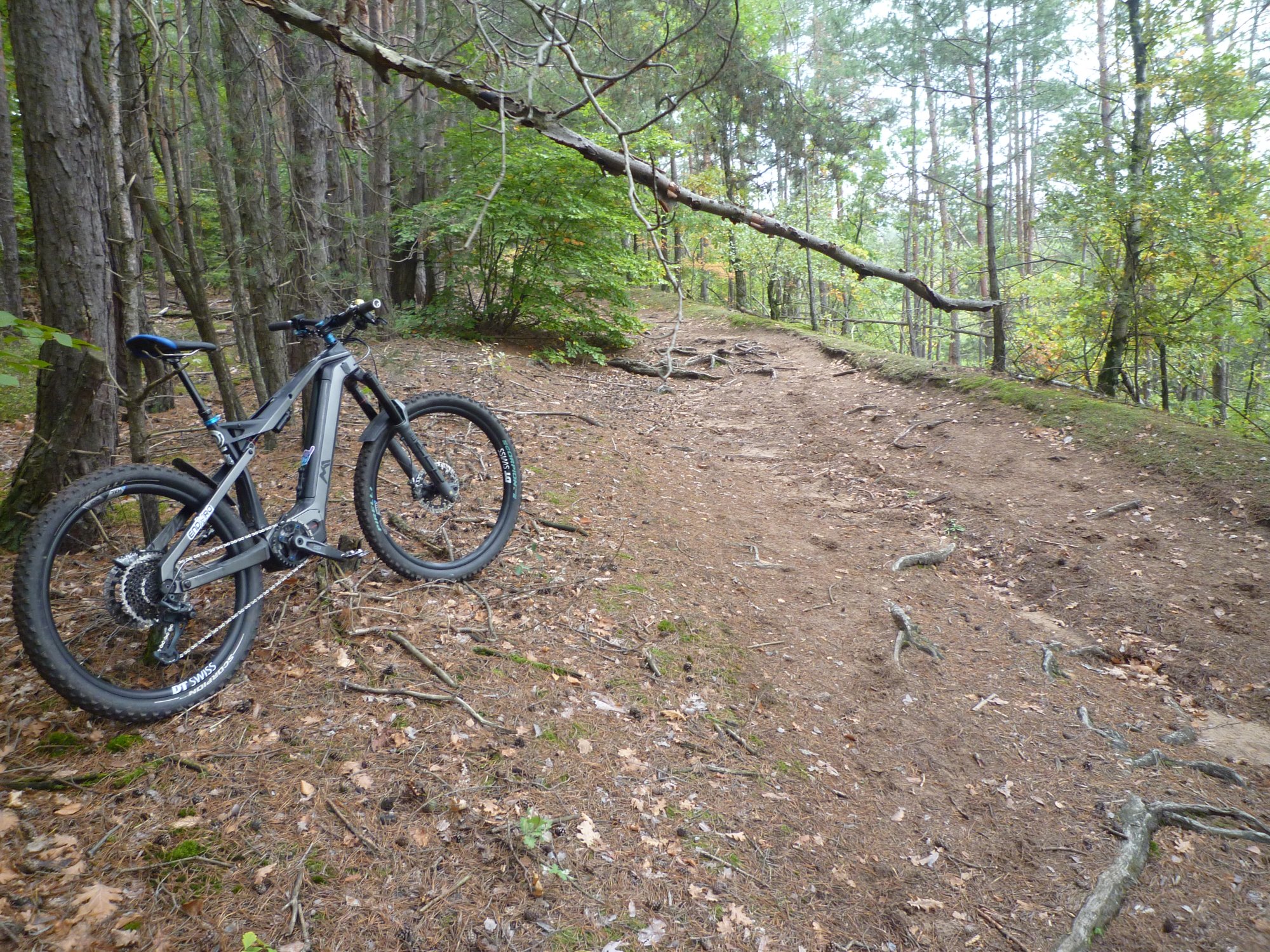 P1040064.JPG