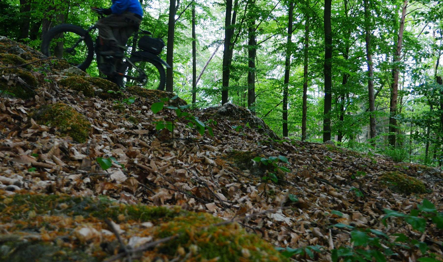 P1050091.jpg