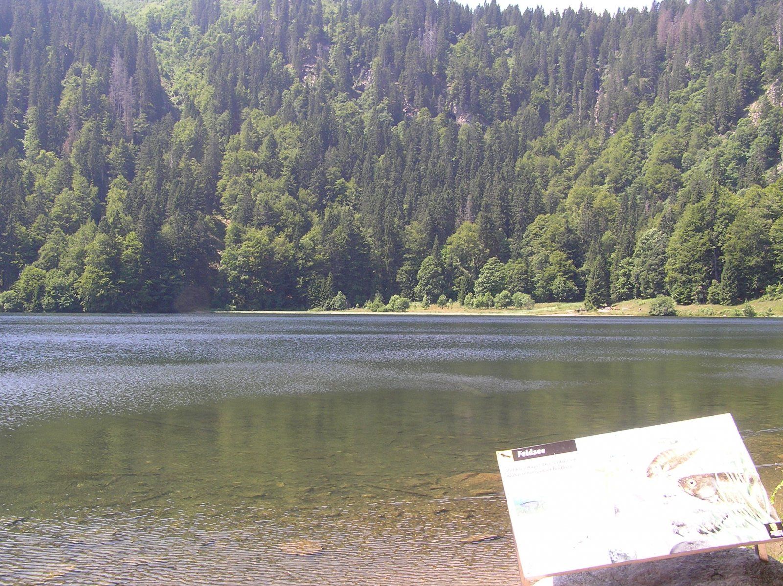 P7150075.JPG