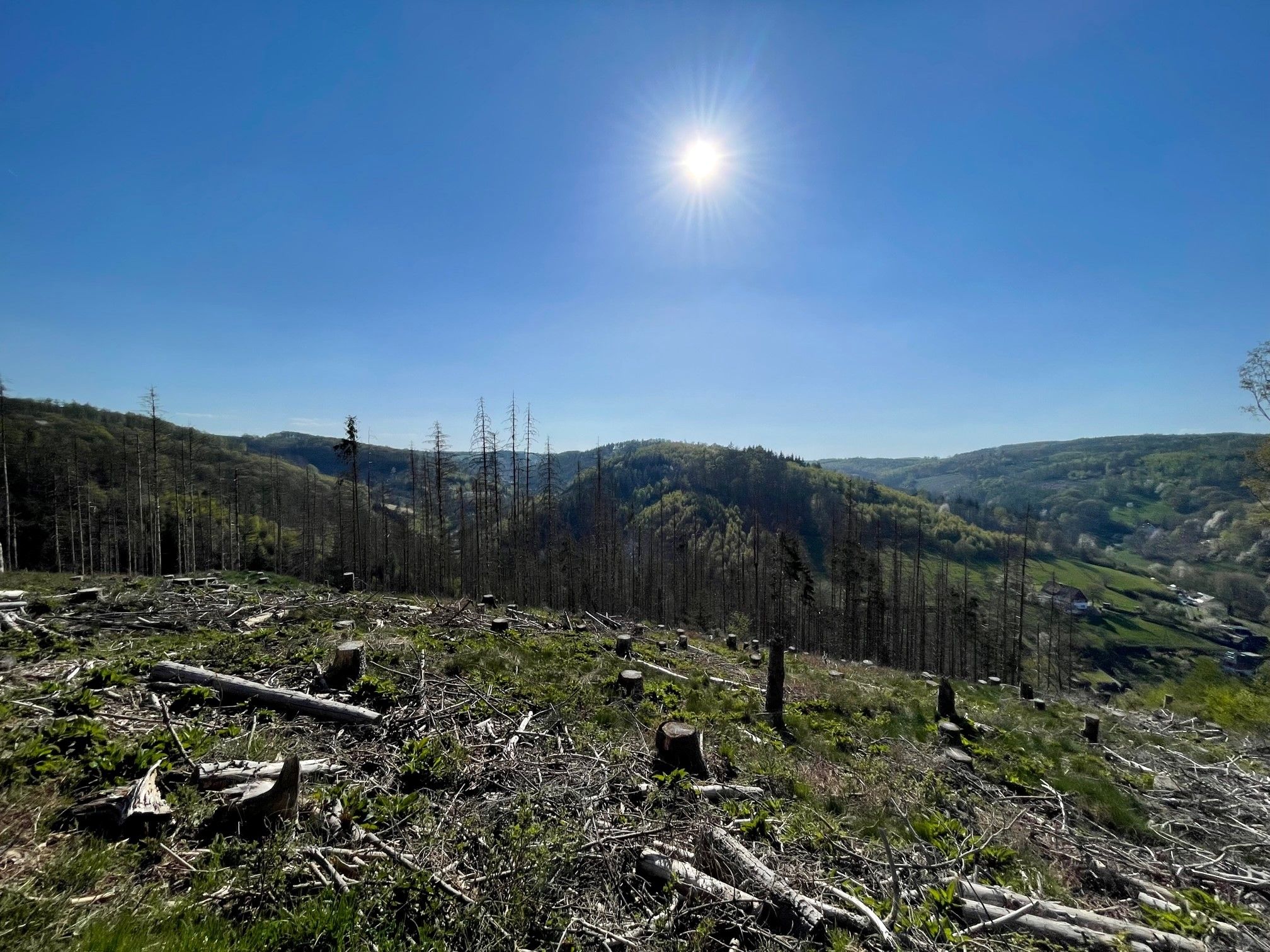Panorama 2.jpg