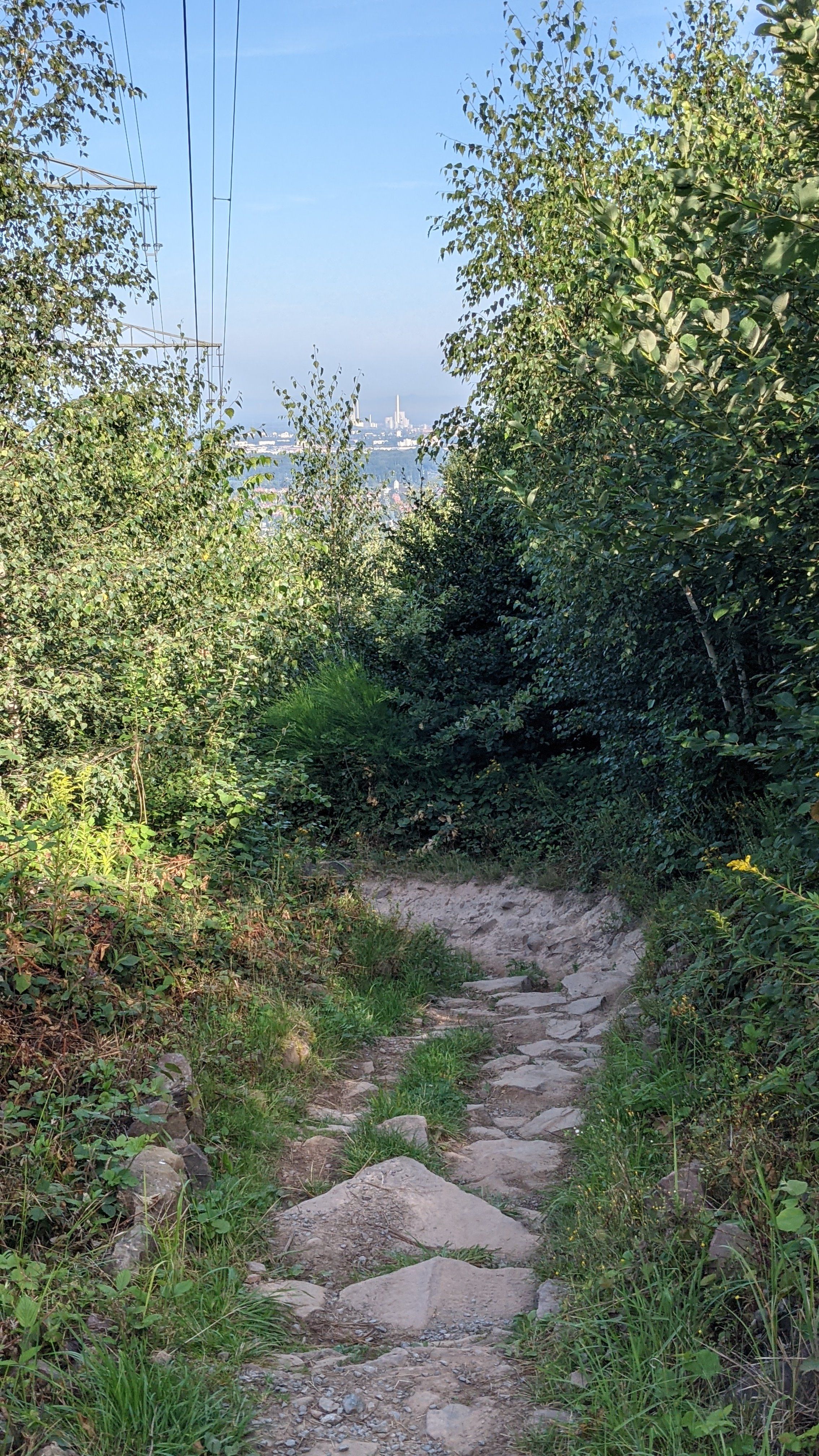 PXL_20210812_071523639.jpg