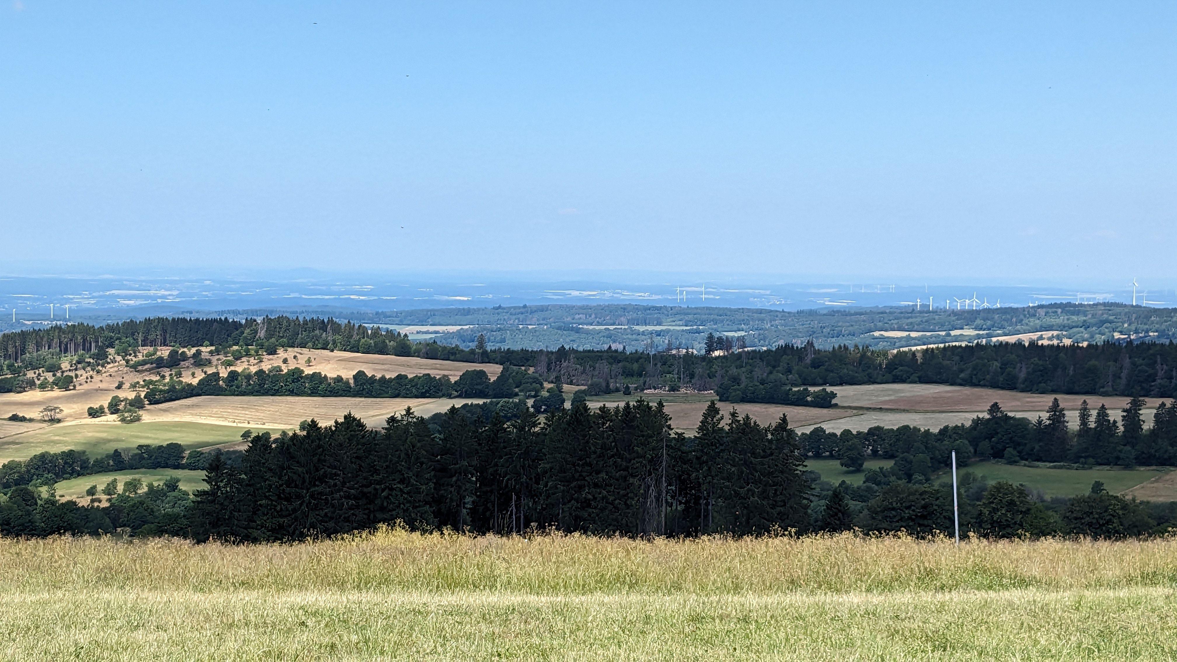 PXL_20230625_100016596.jpg