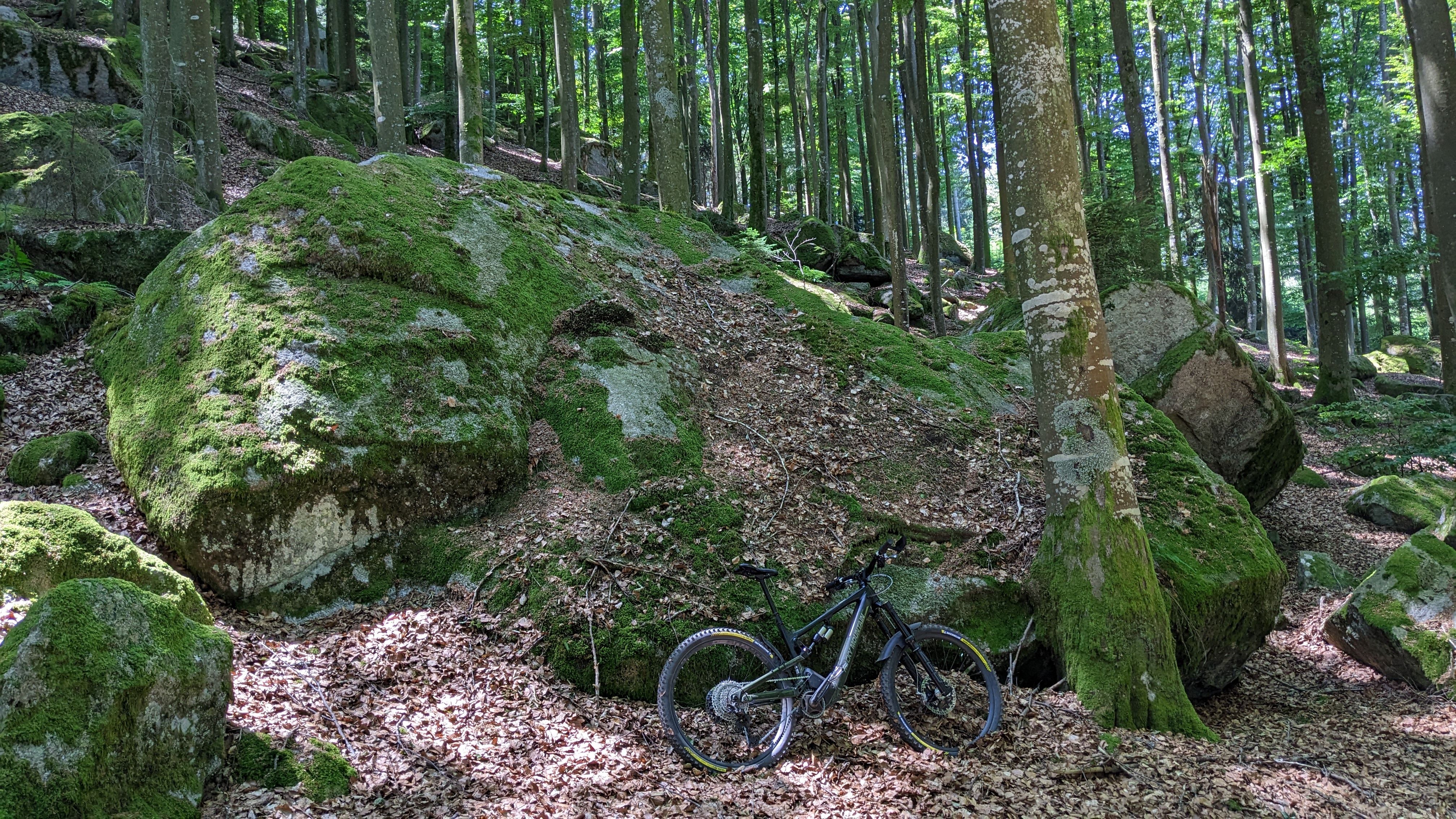 PXL_20230625_105902453.jpg