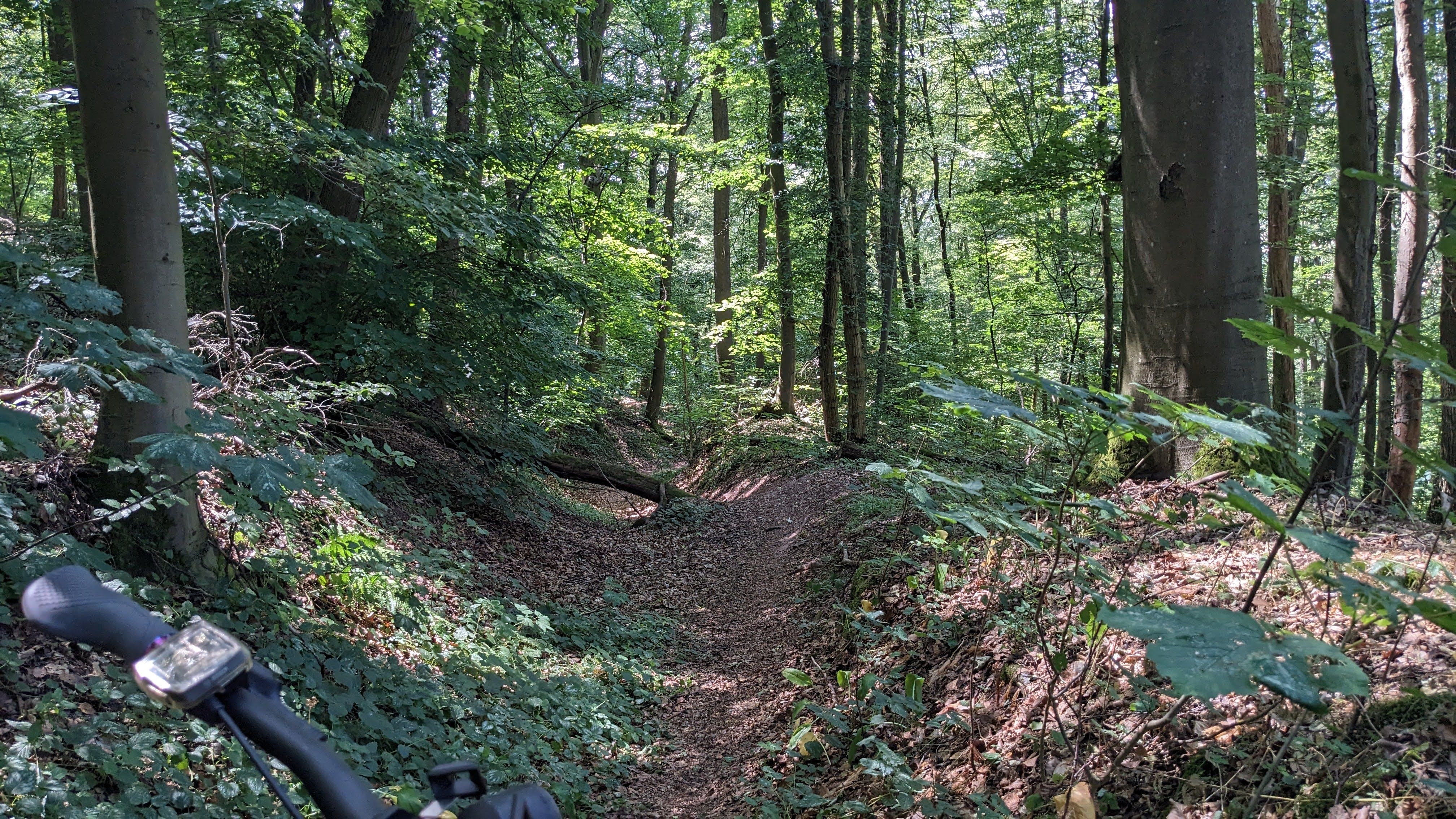 PXL_20230708_125525467.MP.jpg