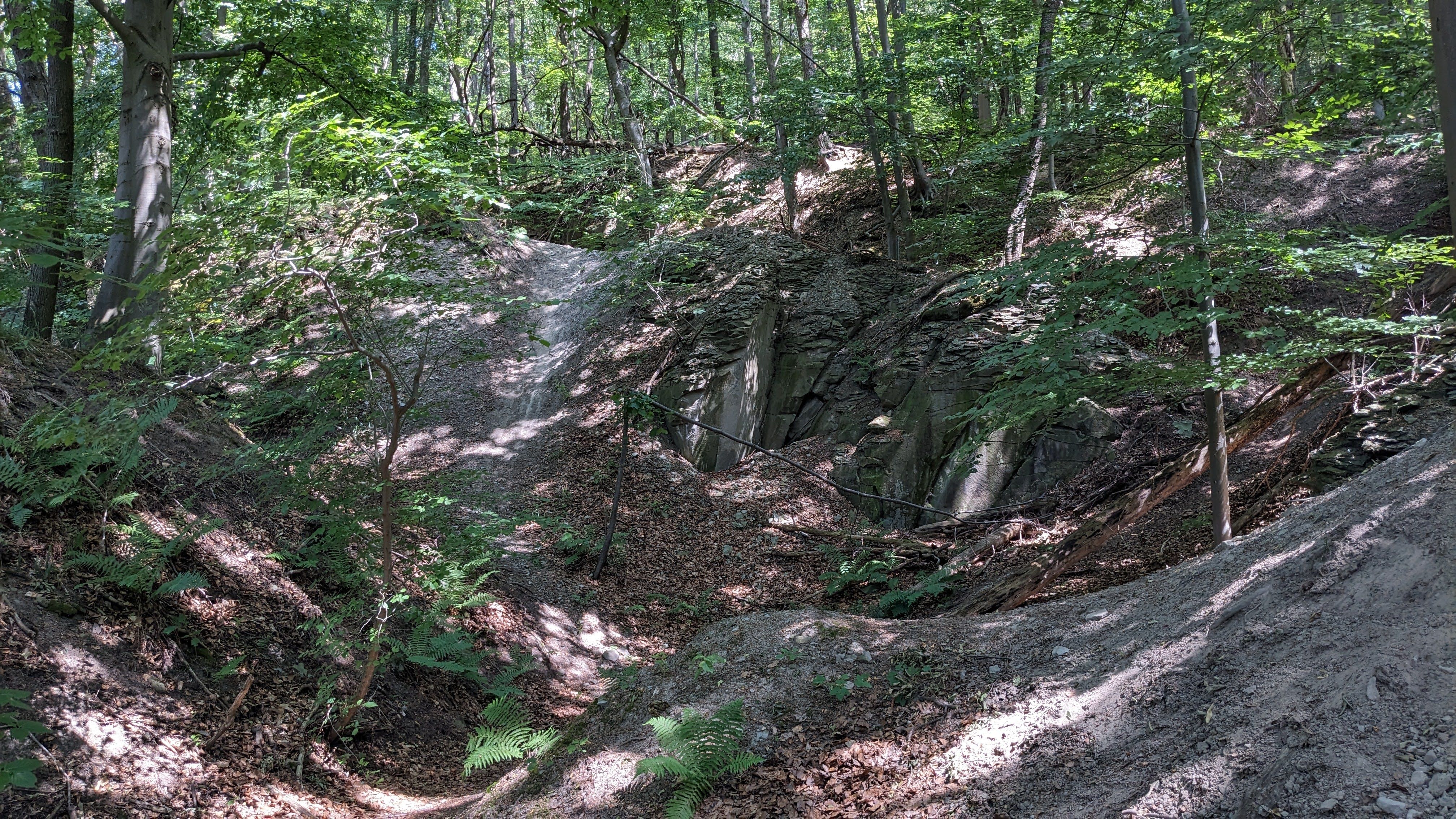 PXL_20230708_125846581.MP.jpg