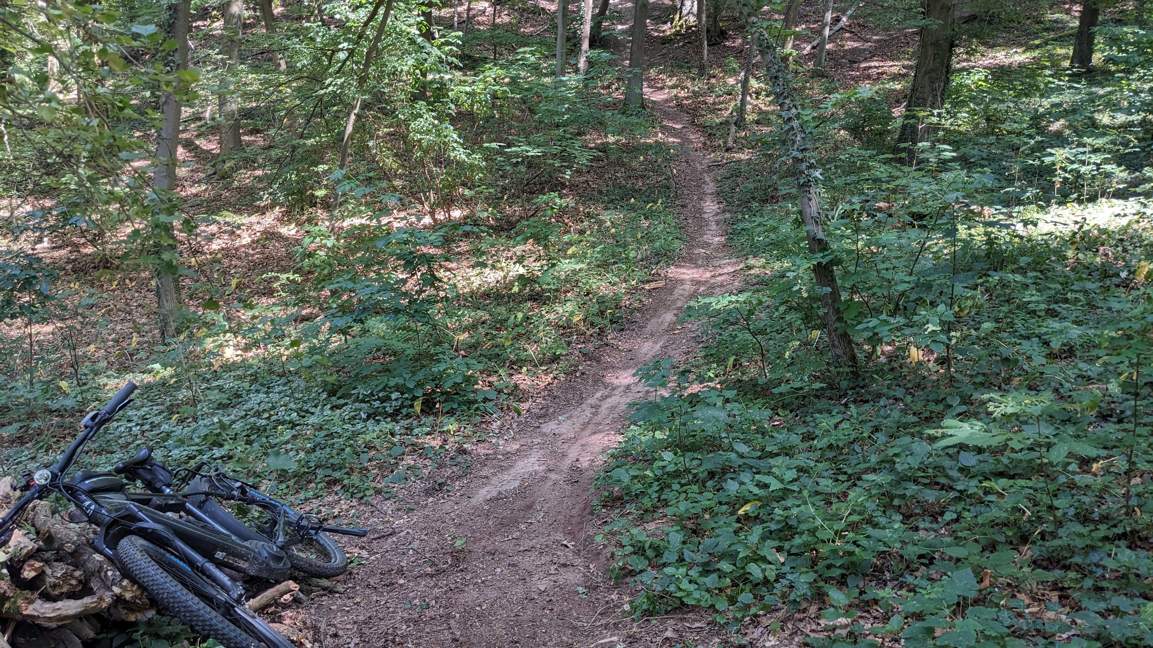 PXL_20230708_125947177.MP.jpg