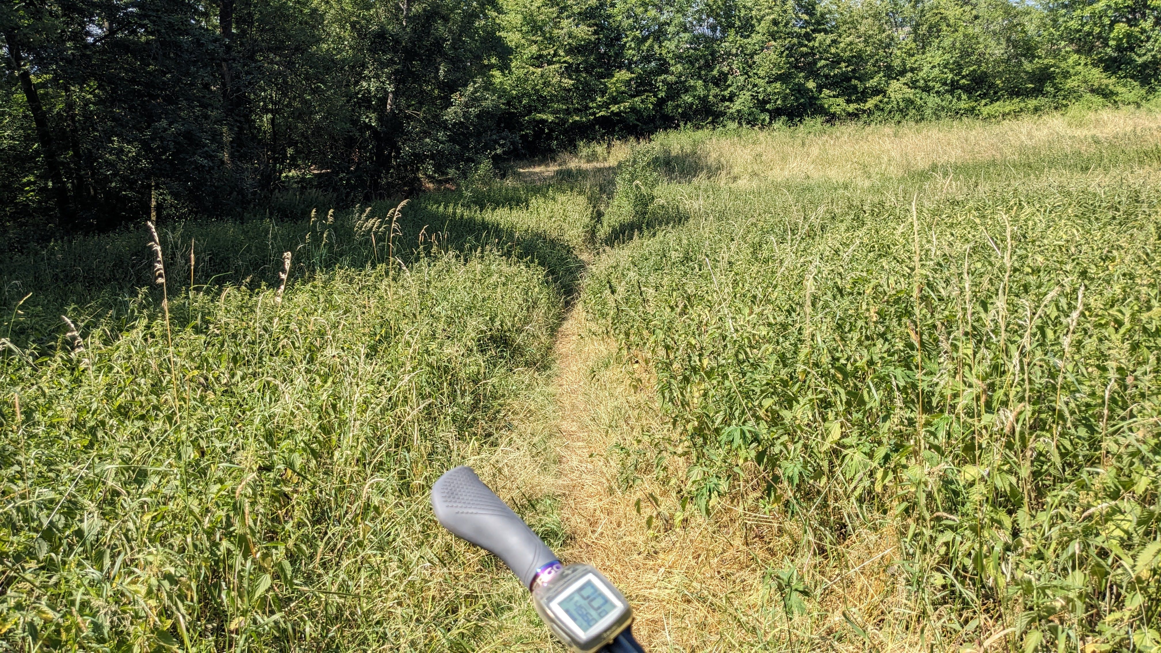 PXL_20230708_130057799.MP.jpg