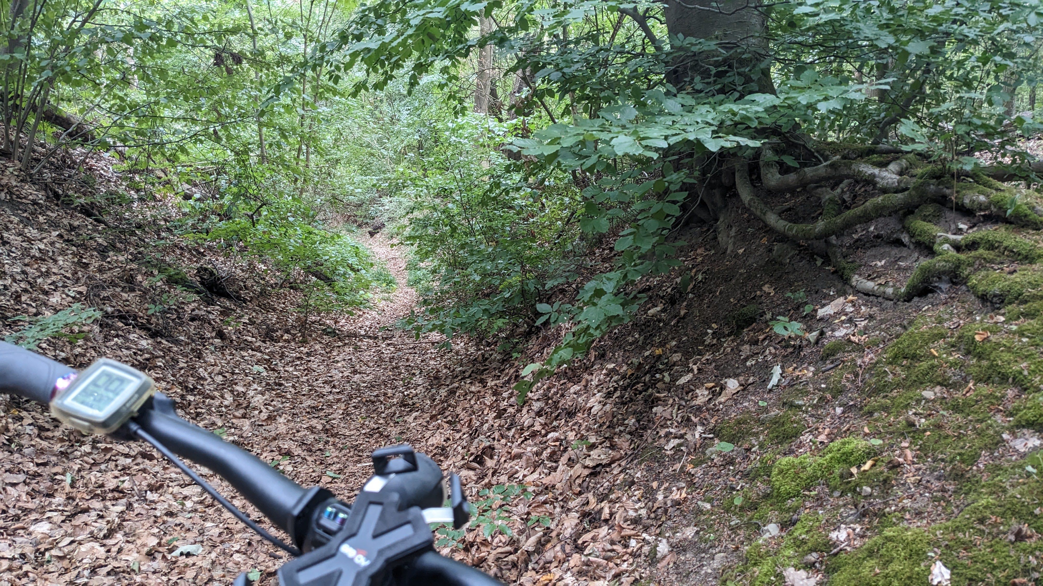 PXL_20230723_144112618.jpg