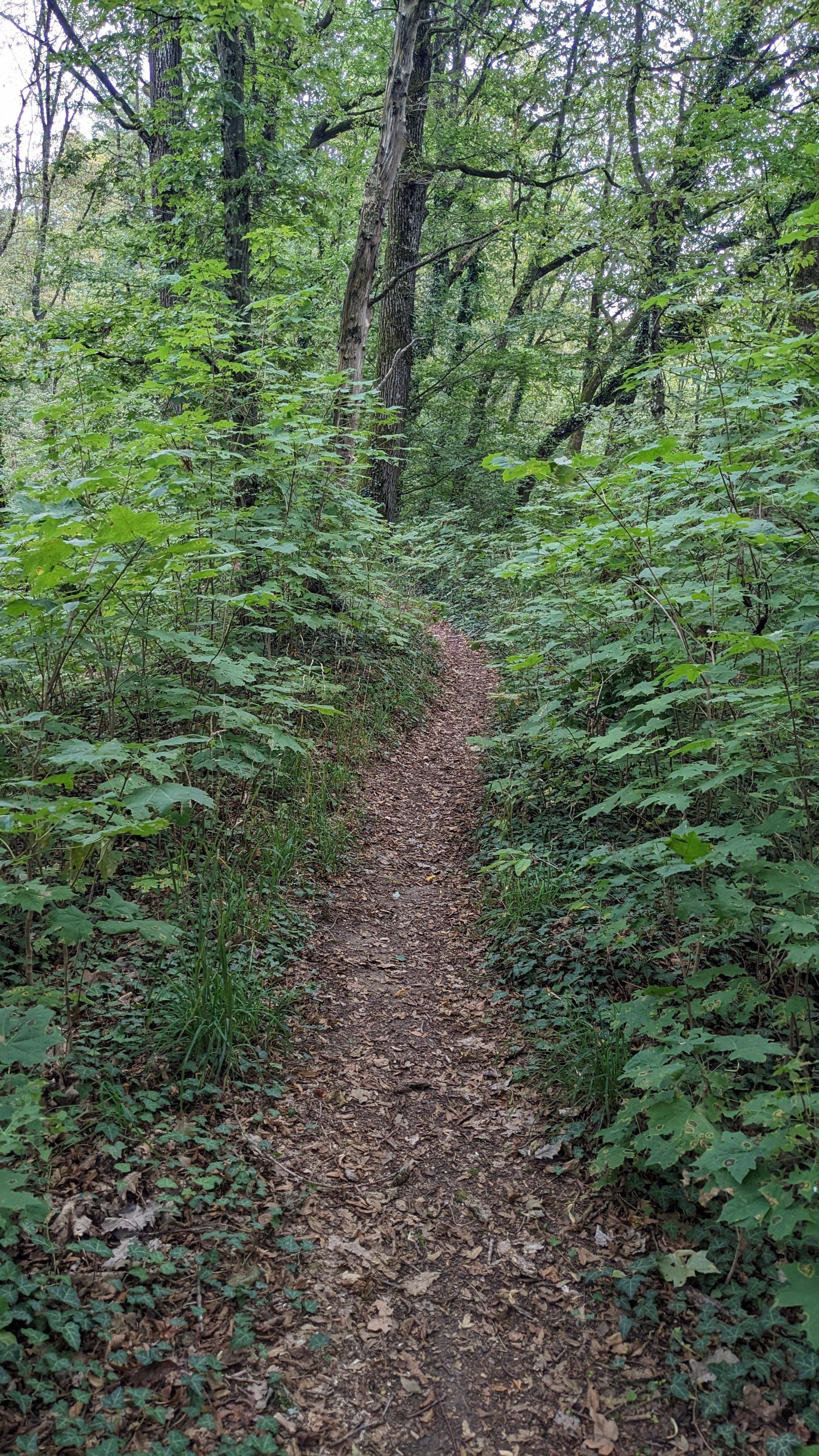 PXL_20230816_100734548.jpg