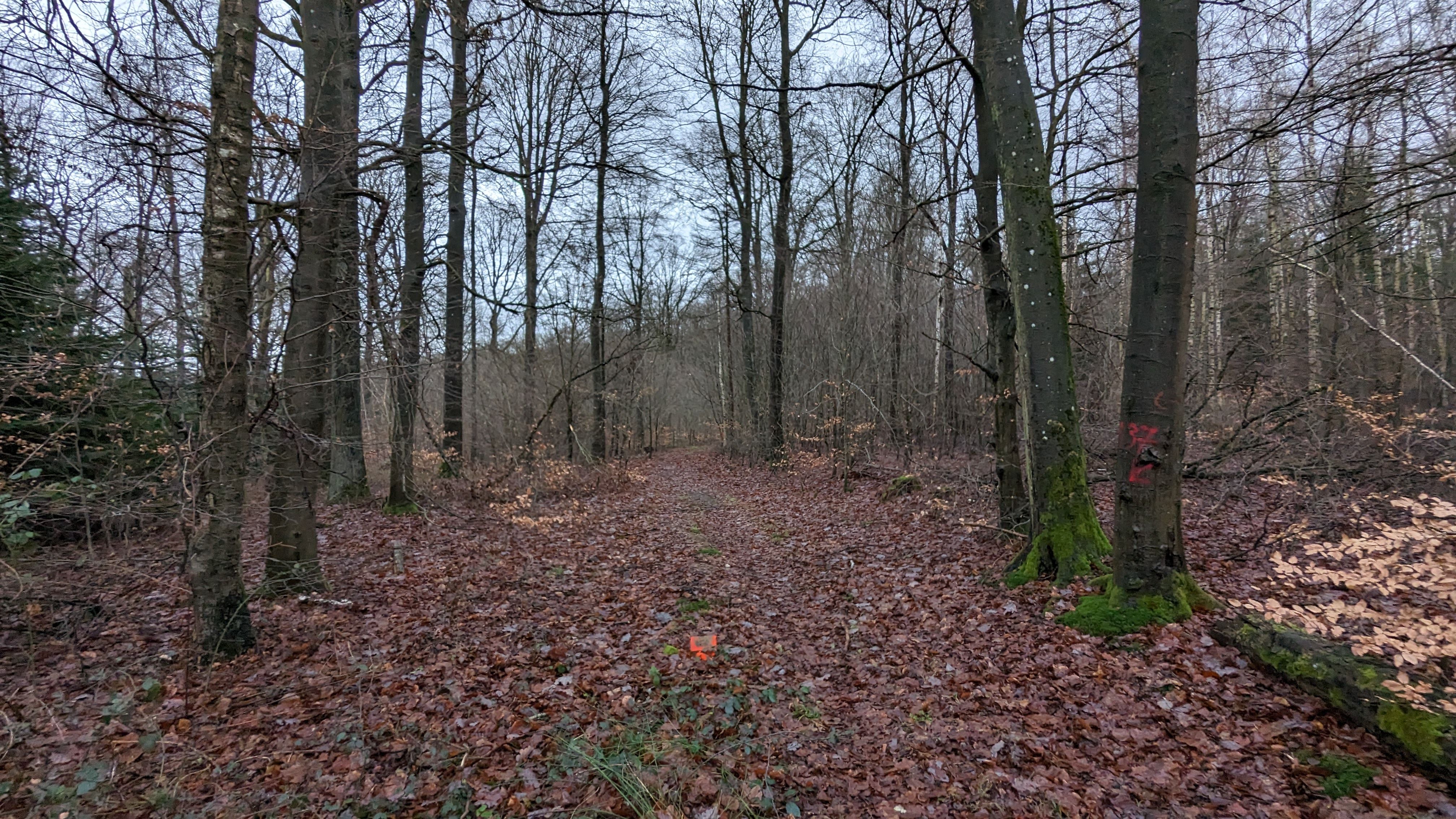 PXL_20231223_133324681.jpg