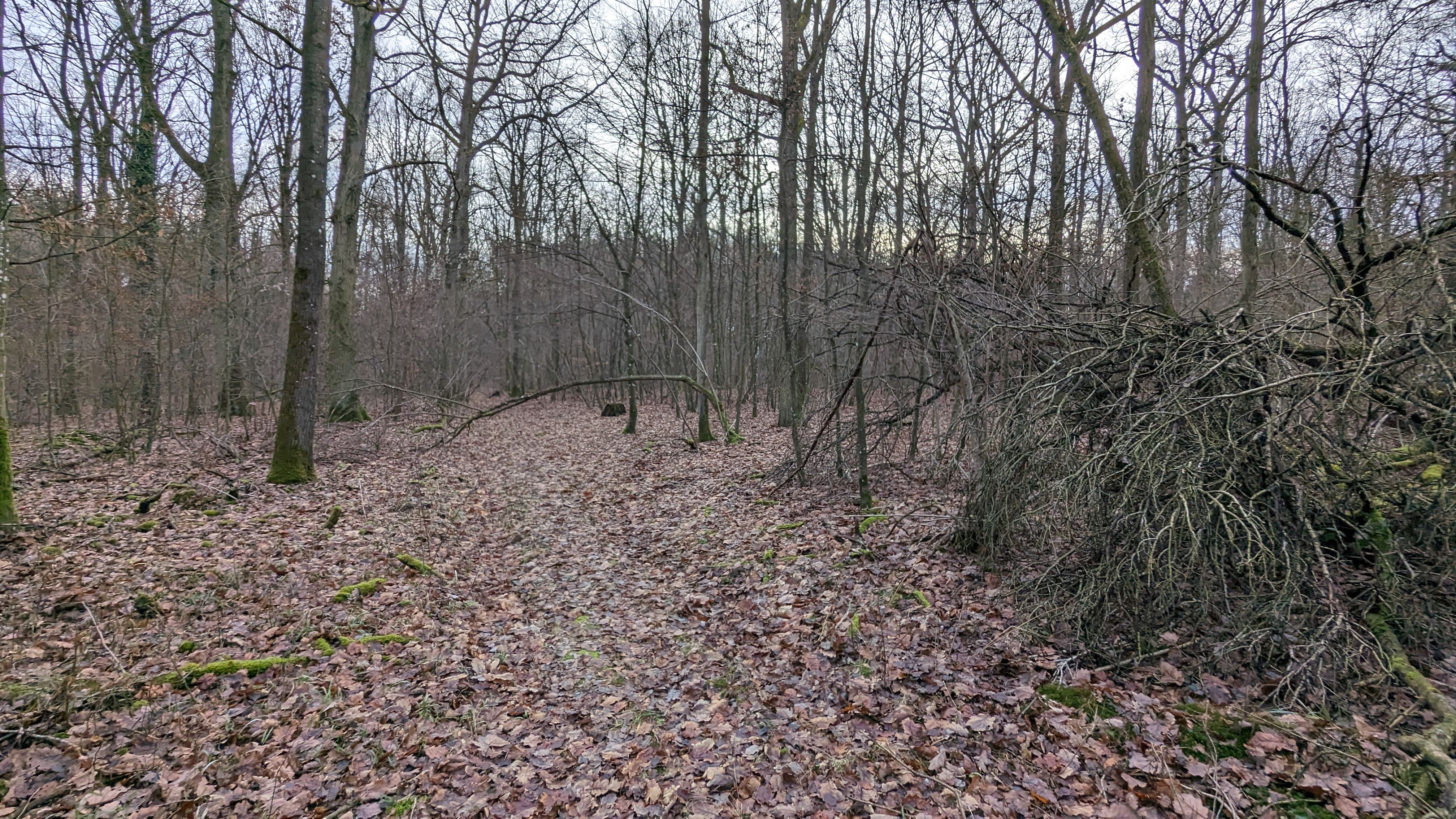 PXL_20231227_143752164.jpg
