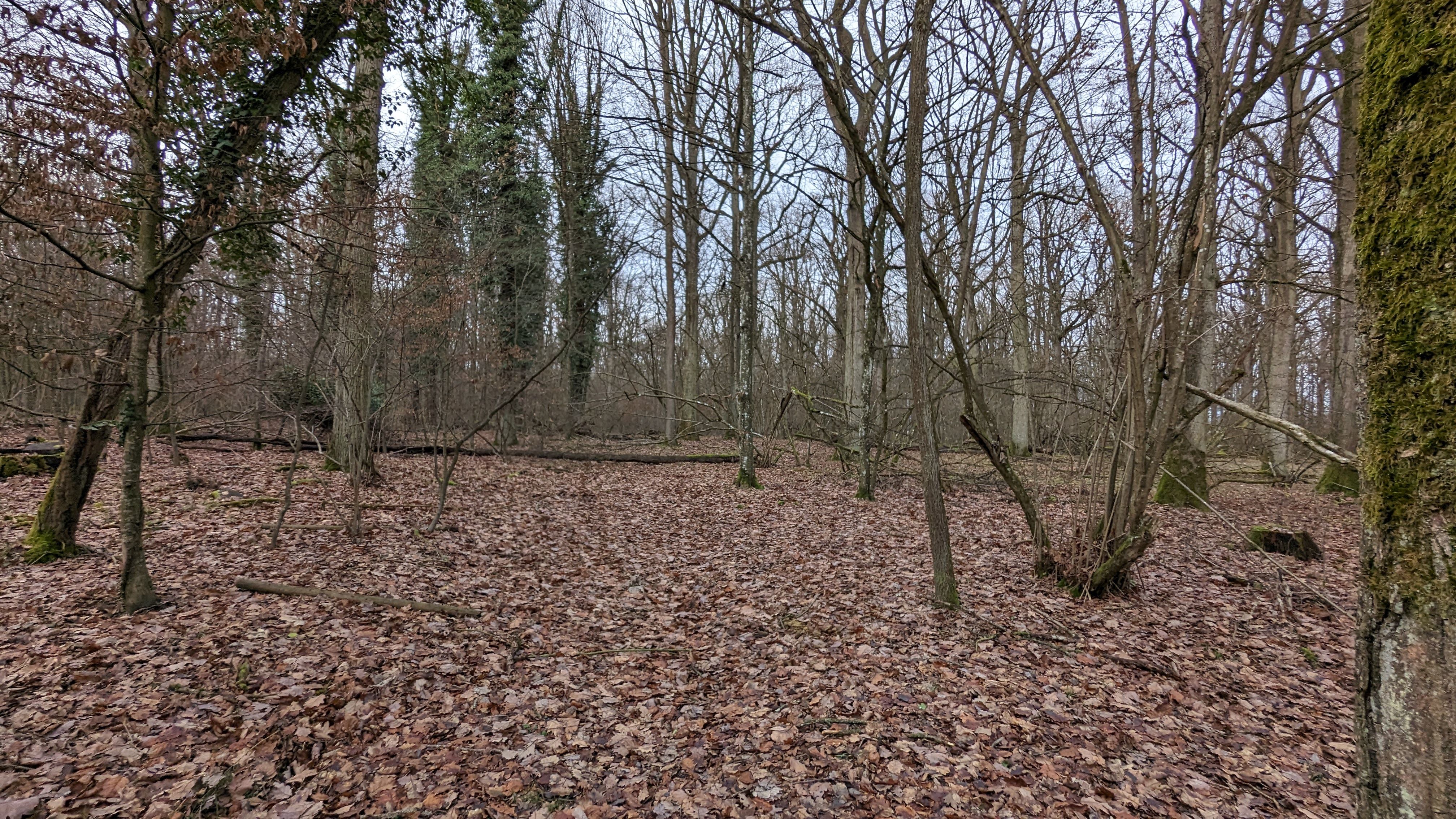 PXL_20231227_143755592.jpg