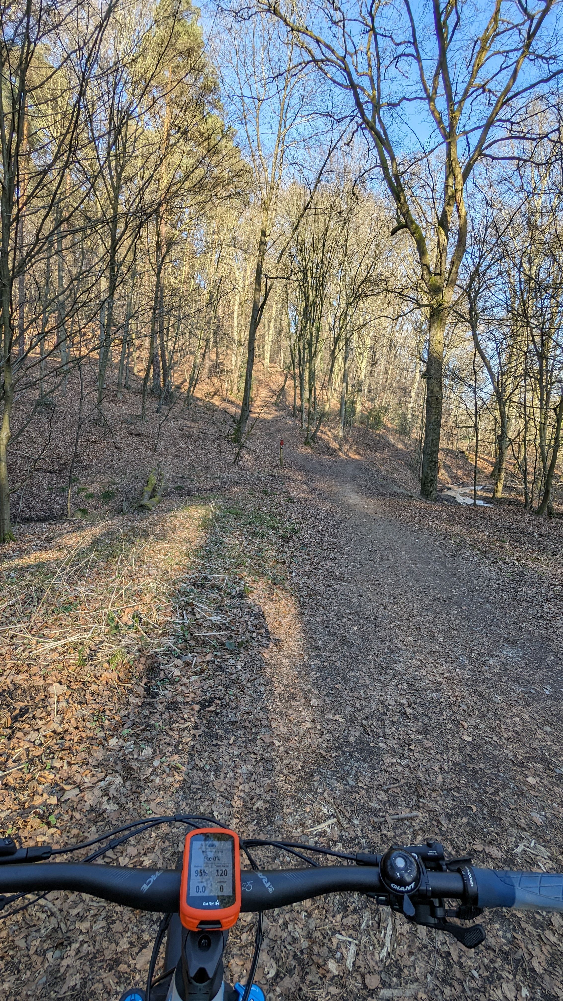 PXL_20240308_145616393.jpg