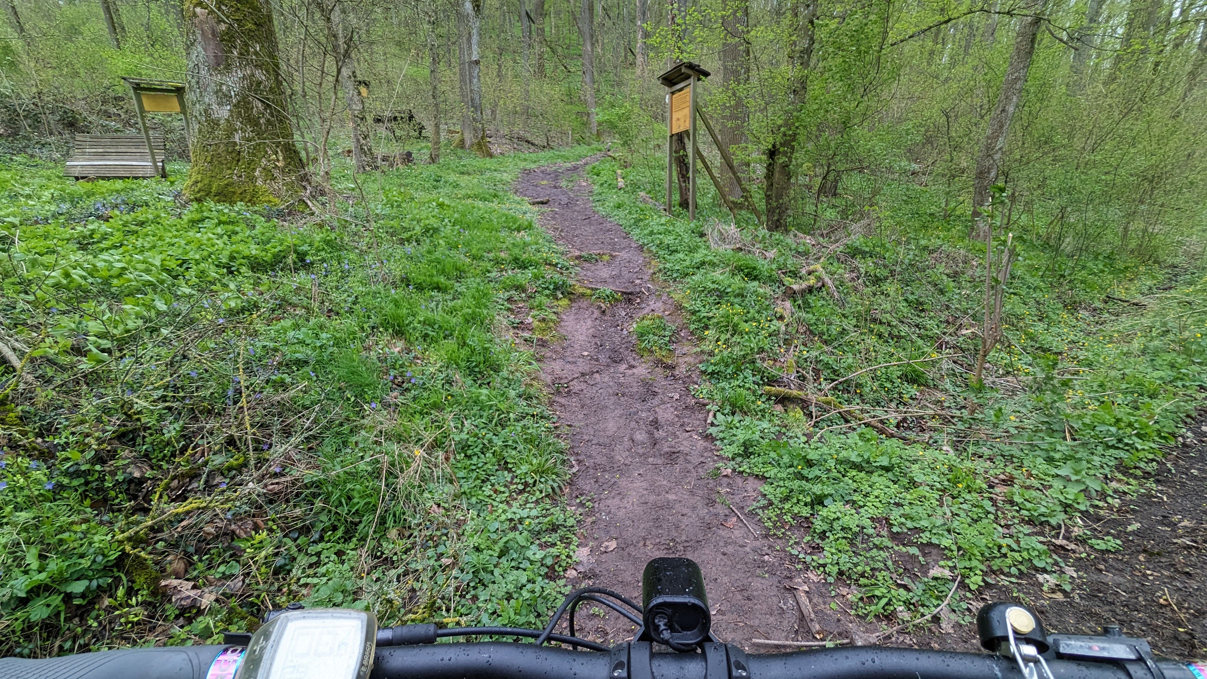 PXL_20240404_094246595.jpg