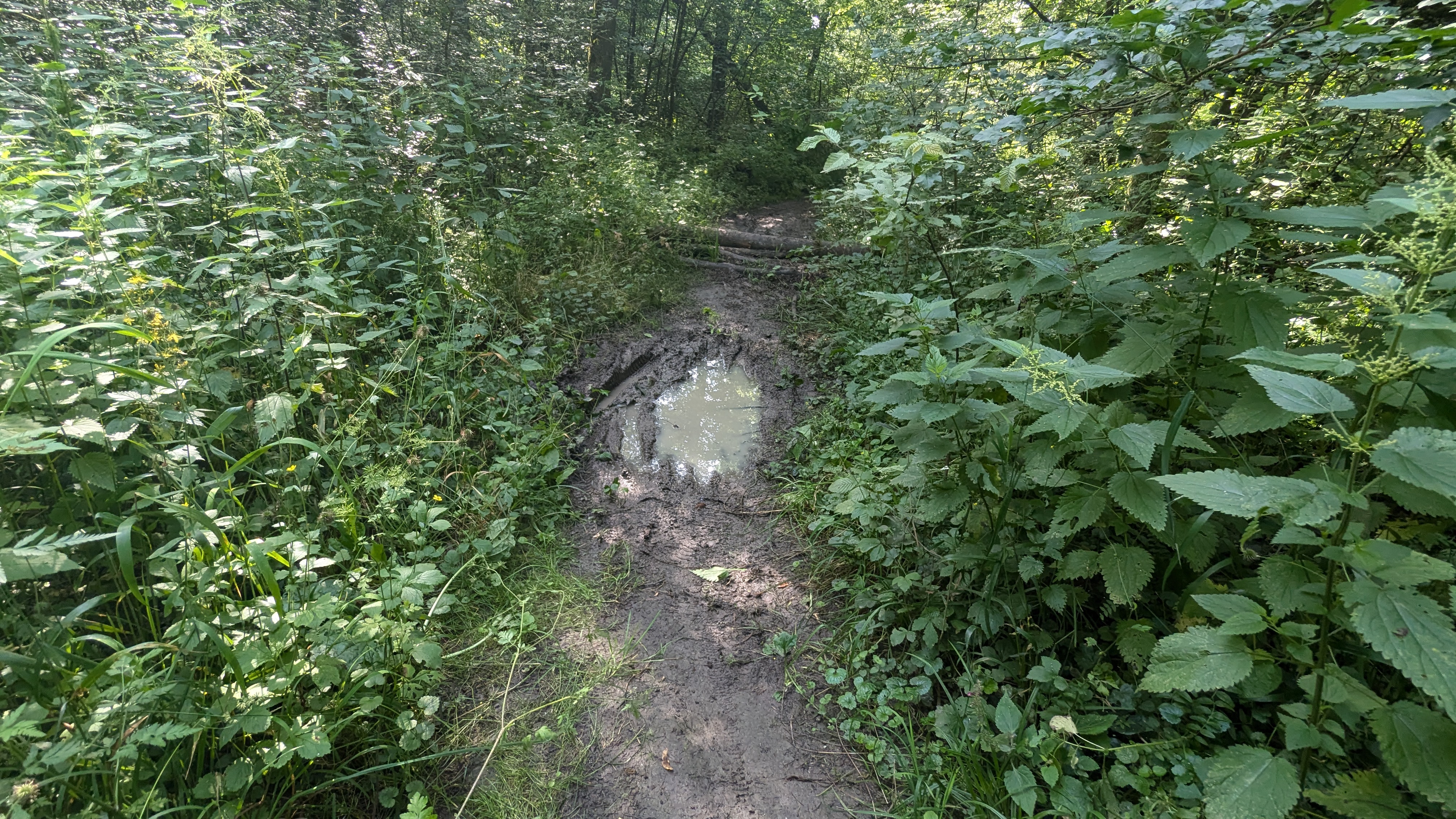 PXL_20240629_073406492.jpg
