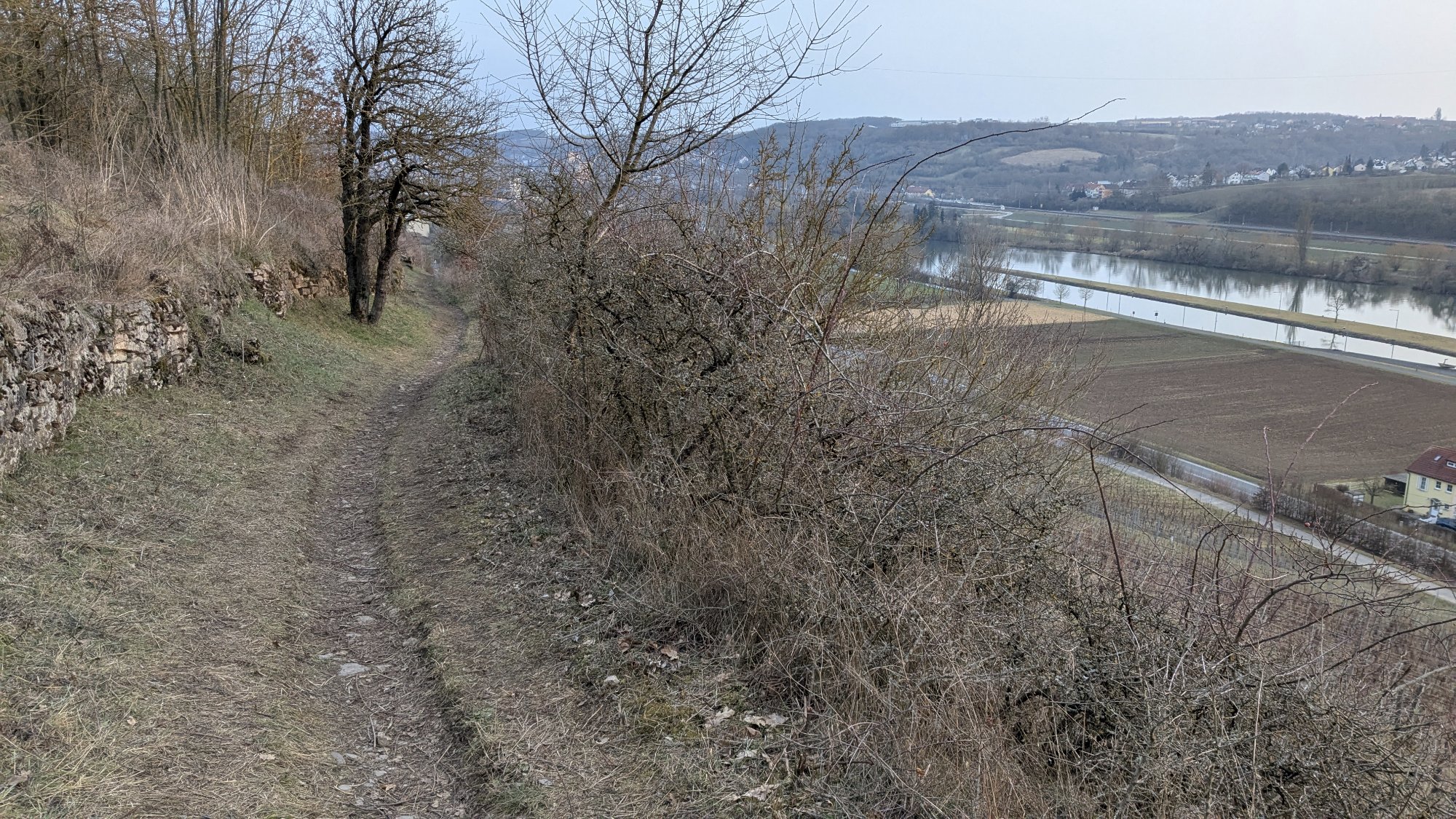 PXL_20250207_155857509.jpg