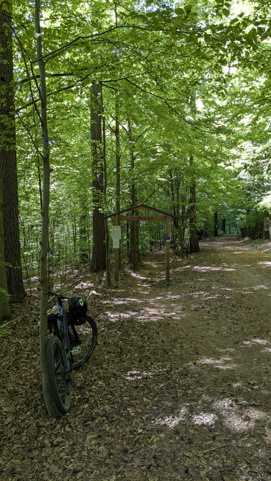 PXL_20250501_123927208.jpg
