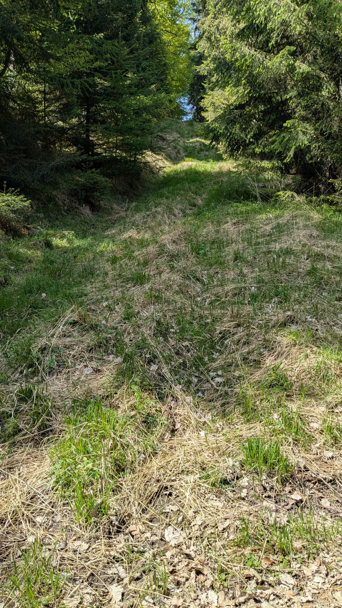 PXL_20250502_113901621.jpg