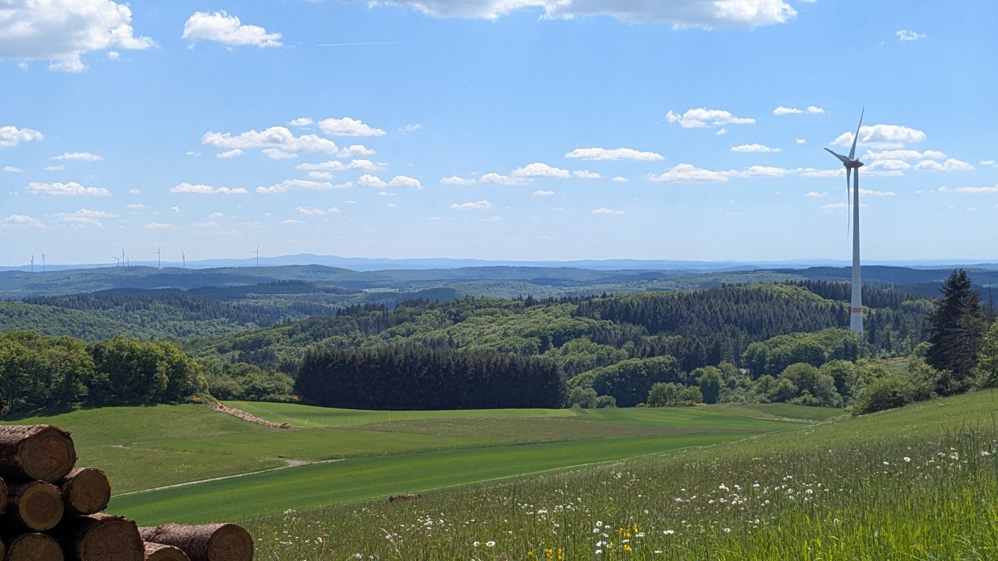 PXL_20250511_124237099.jpg