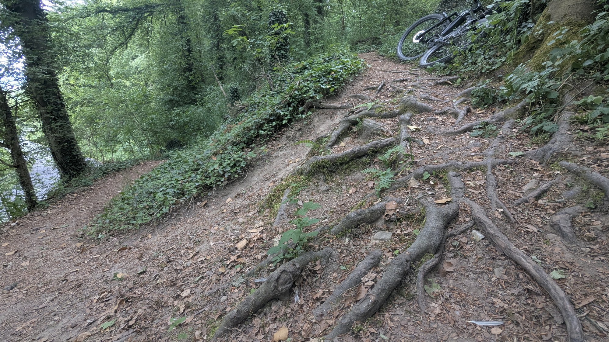 PXL_20250521_153608244.jpg