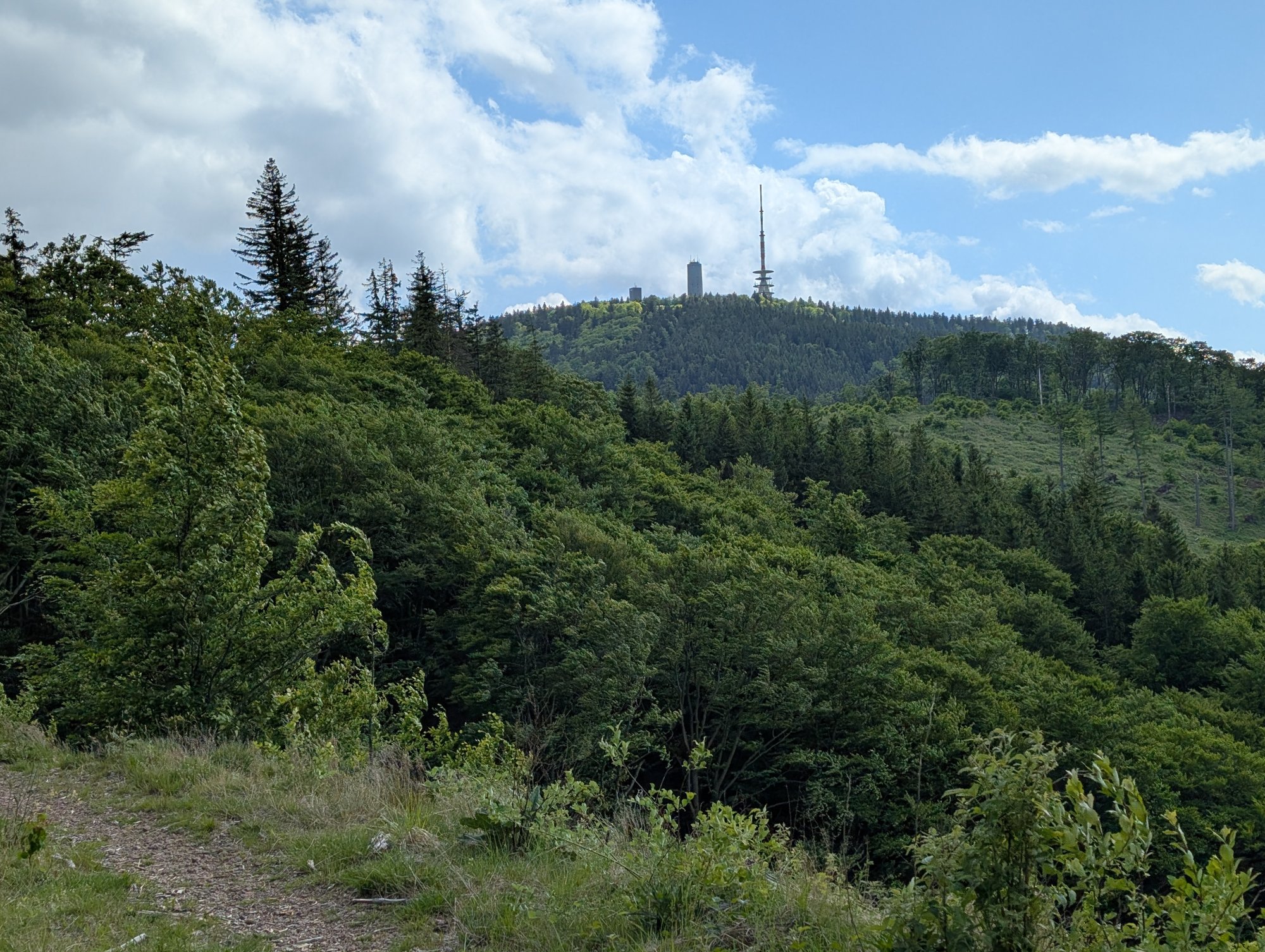 PXL_20250522_135543435.jpg