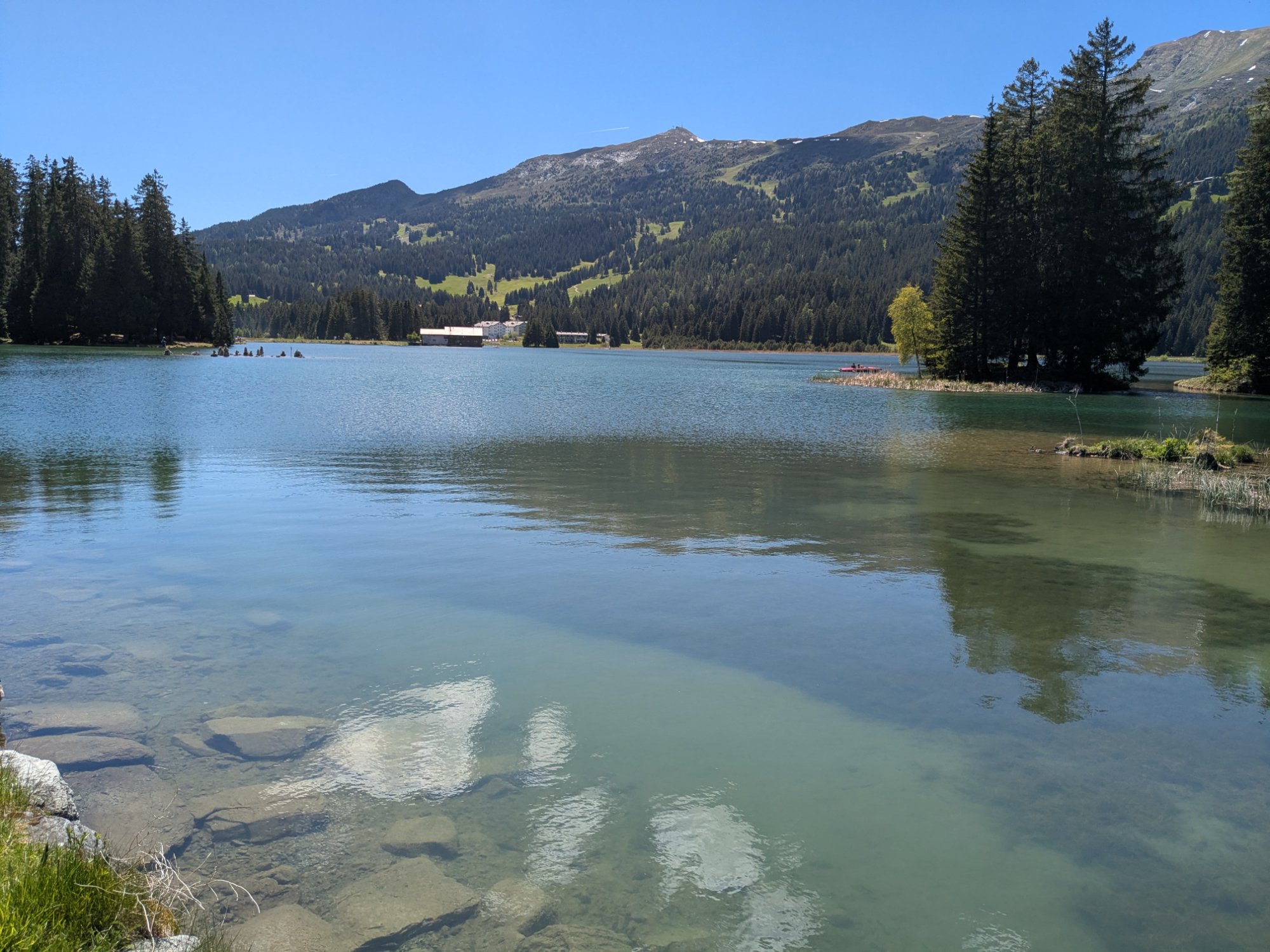 PXL_20250530_123715279.jpg