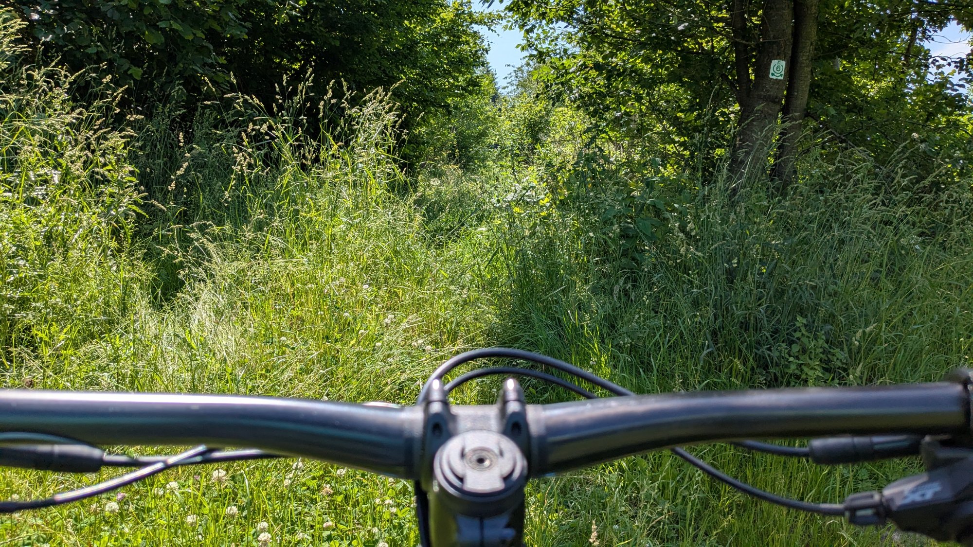PXL_20250612_104052640.jpg