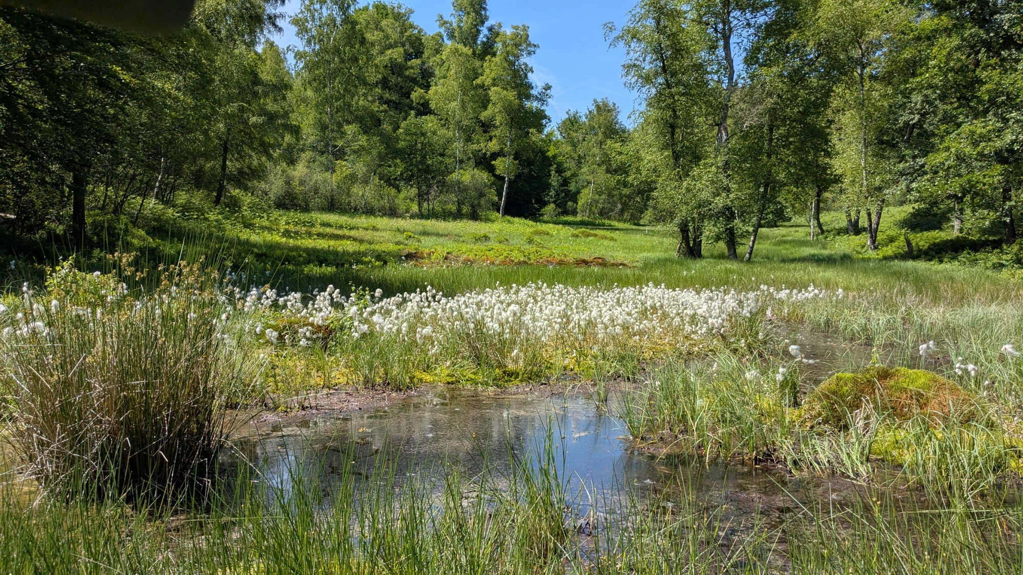 PXL_20250612_130739077.jpg